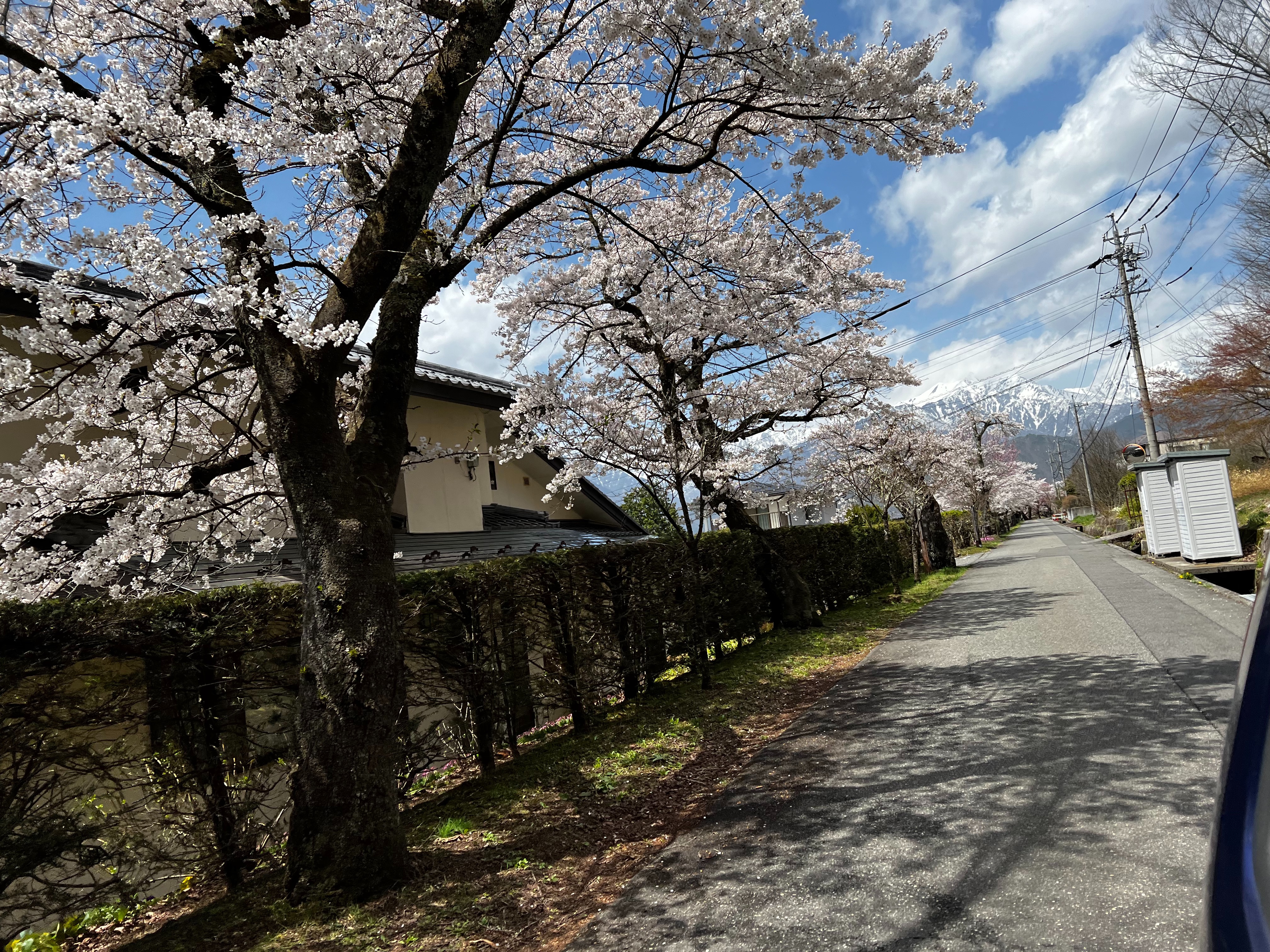f:id:CNwriting:20250323184043j:image