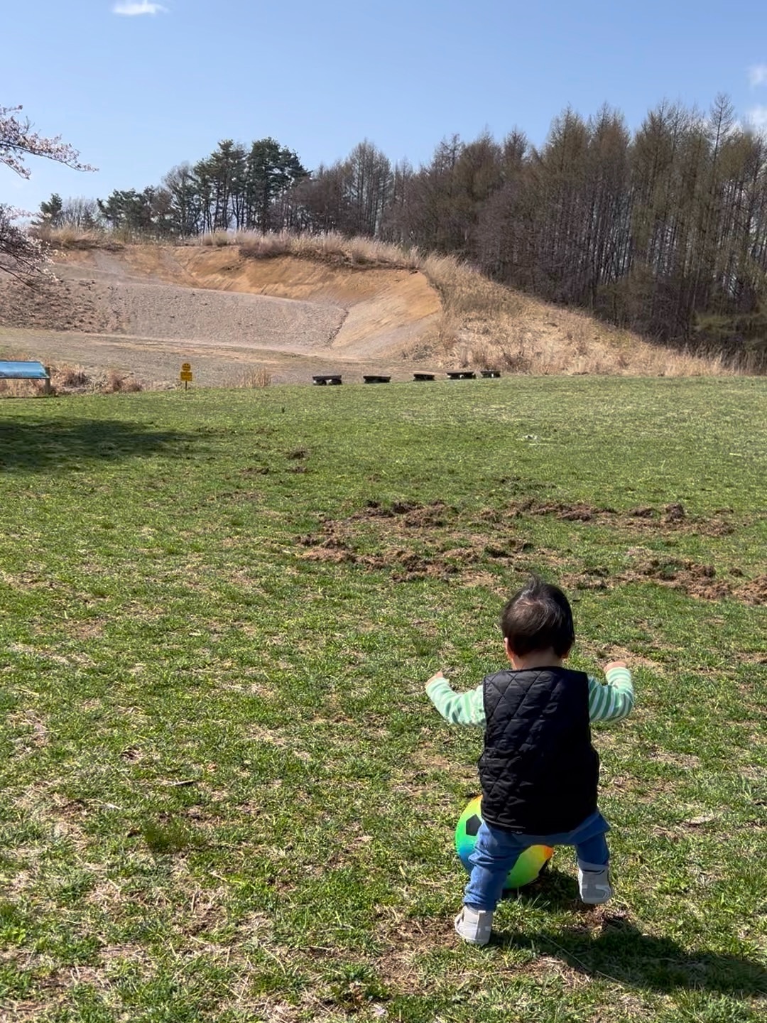 f:id:CNwriting:20250323184848j:image