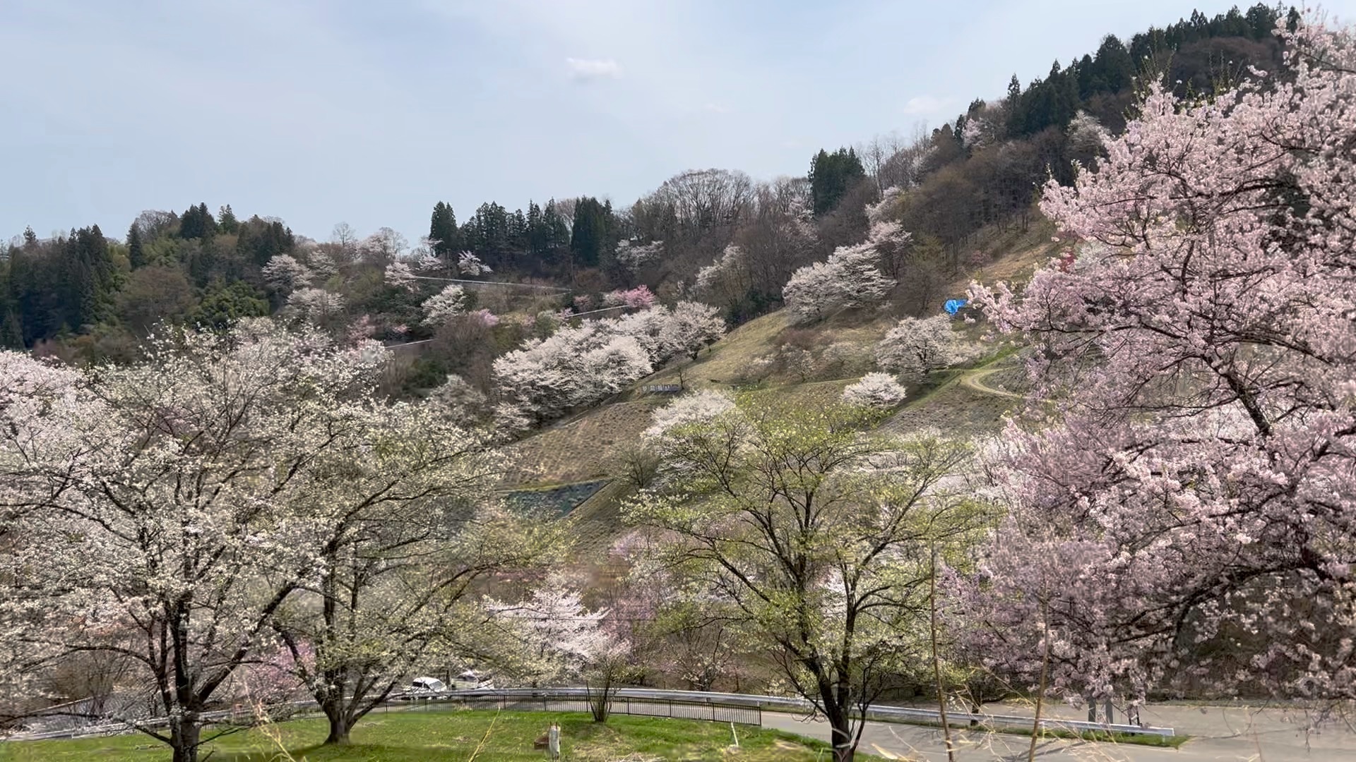 f:id:CNwriting:20250323185129j:image