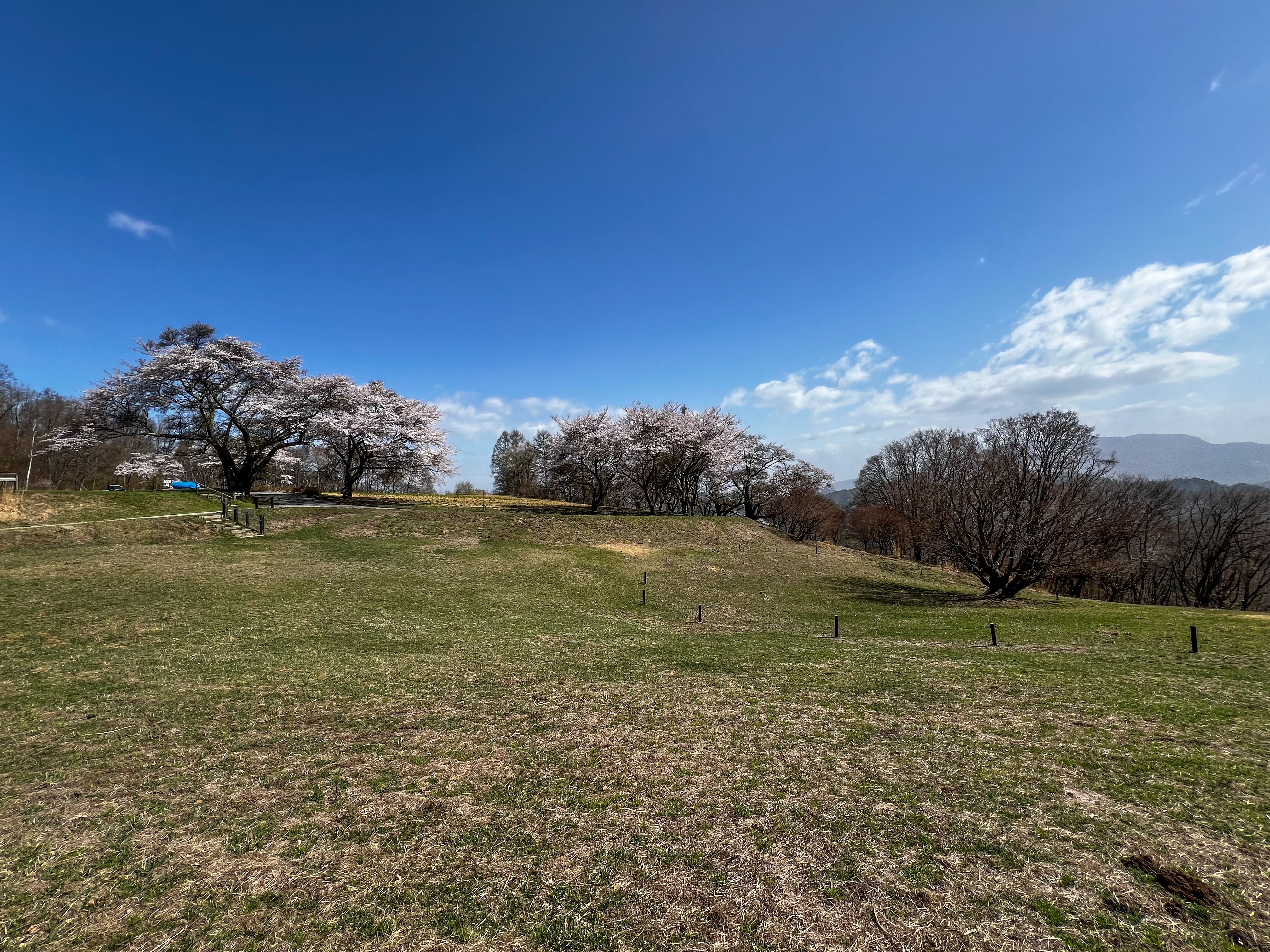 f:id:CNwriting:20250323185207j:image