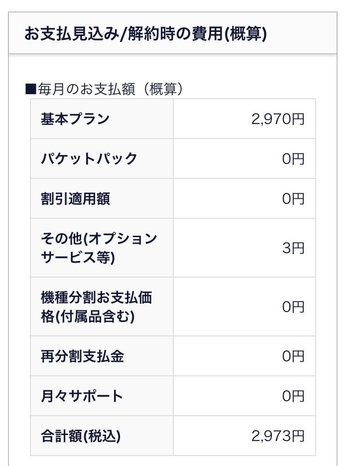 ahamoの契約申し込み画面の「その他(オプションサービス等)」と