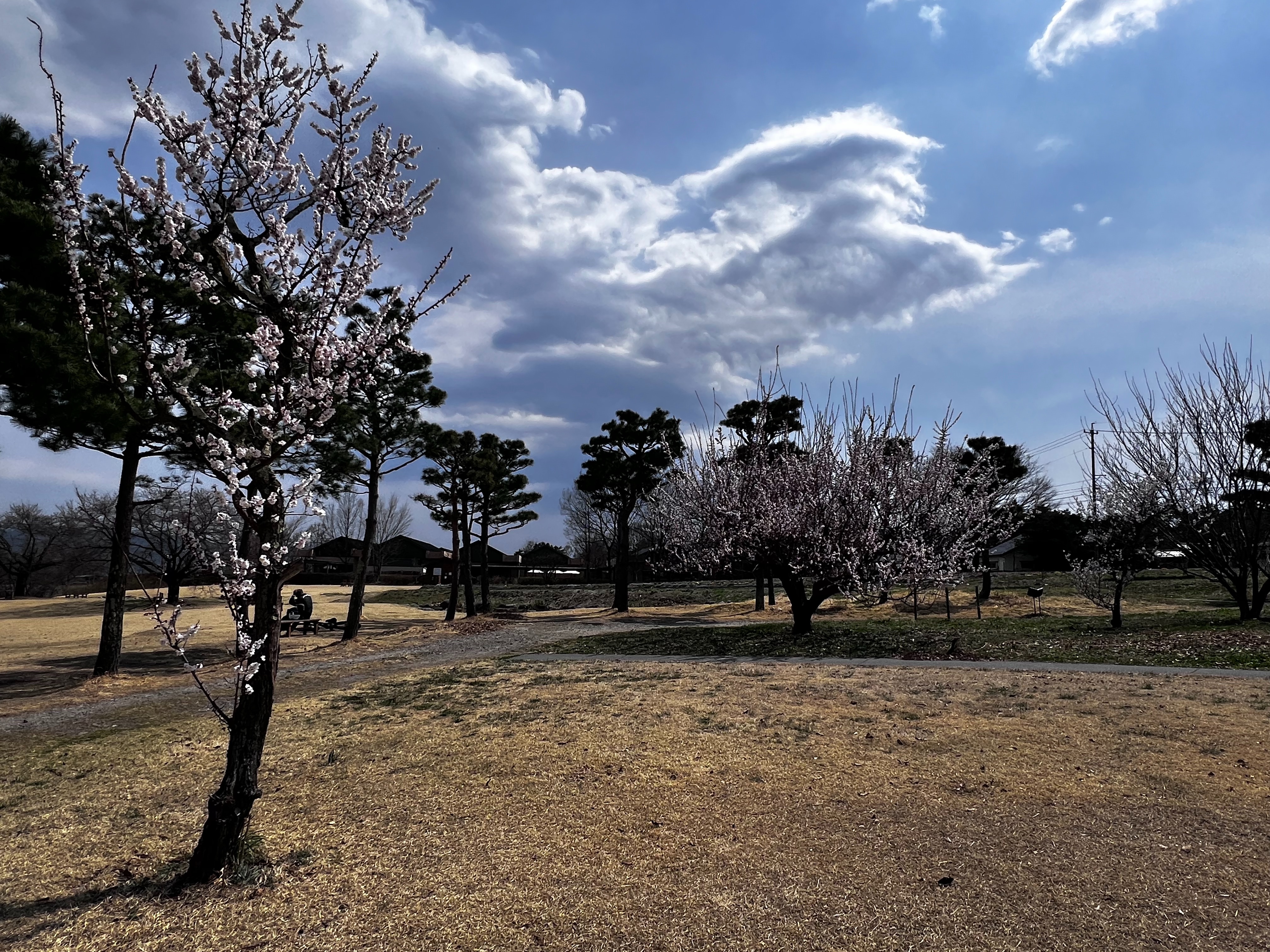 f:id:CNwriting:20250409010313j:image