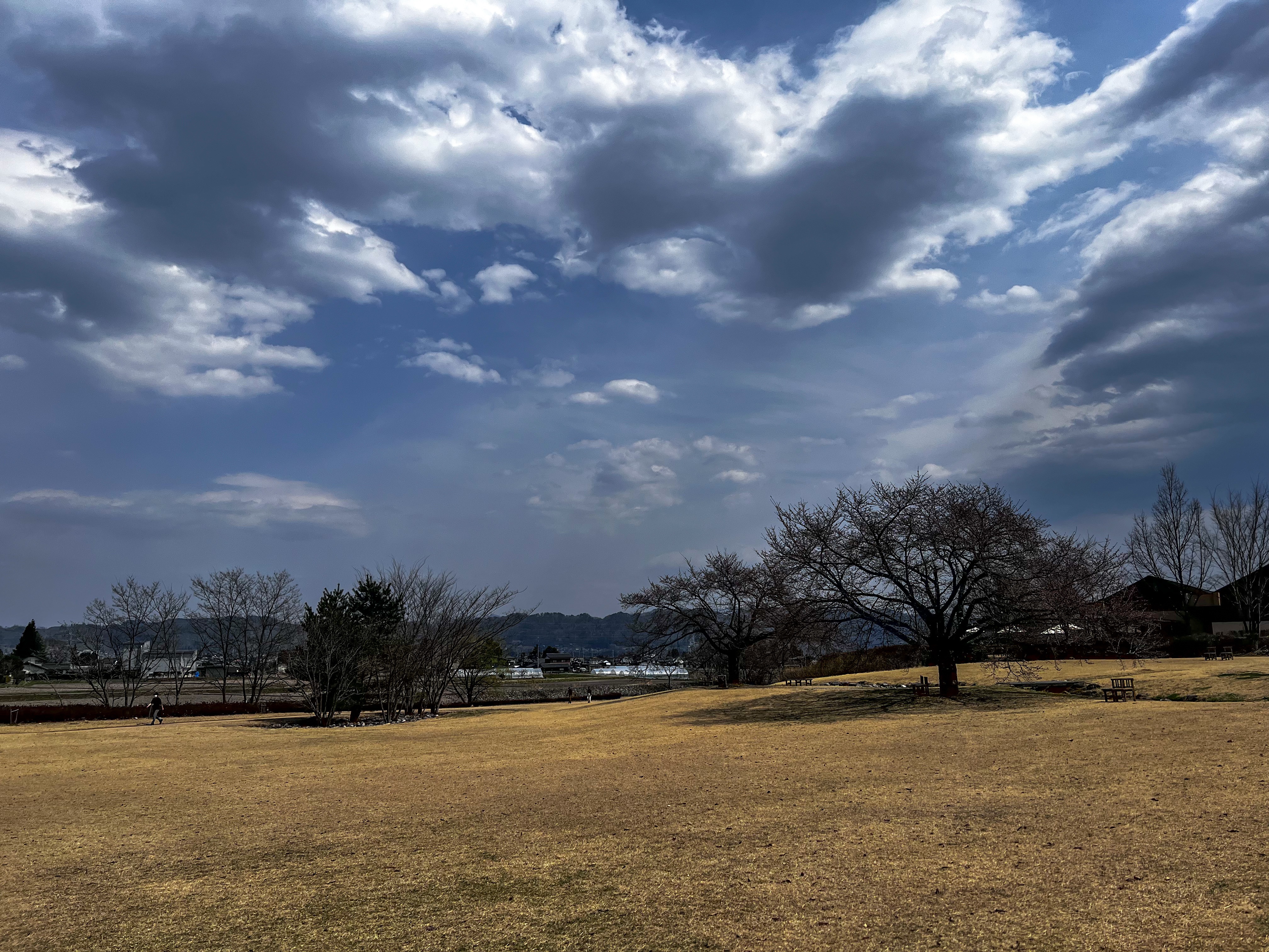 f:id:CNwriting:20250409010343j:image