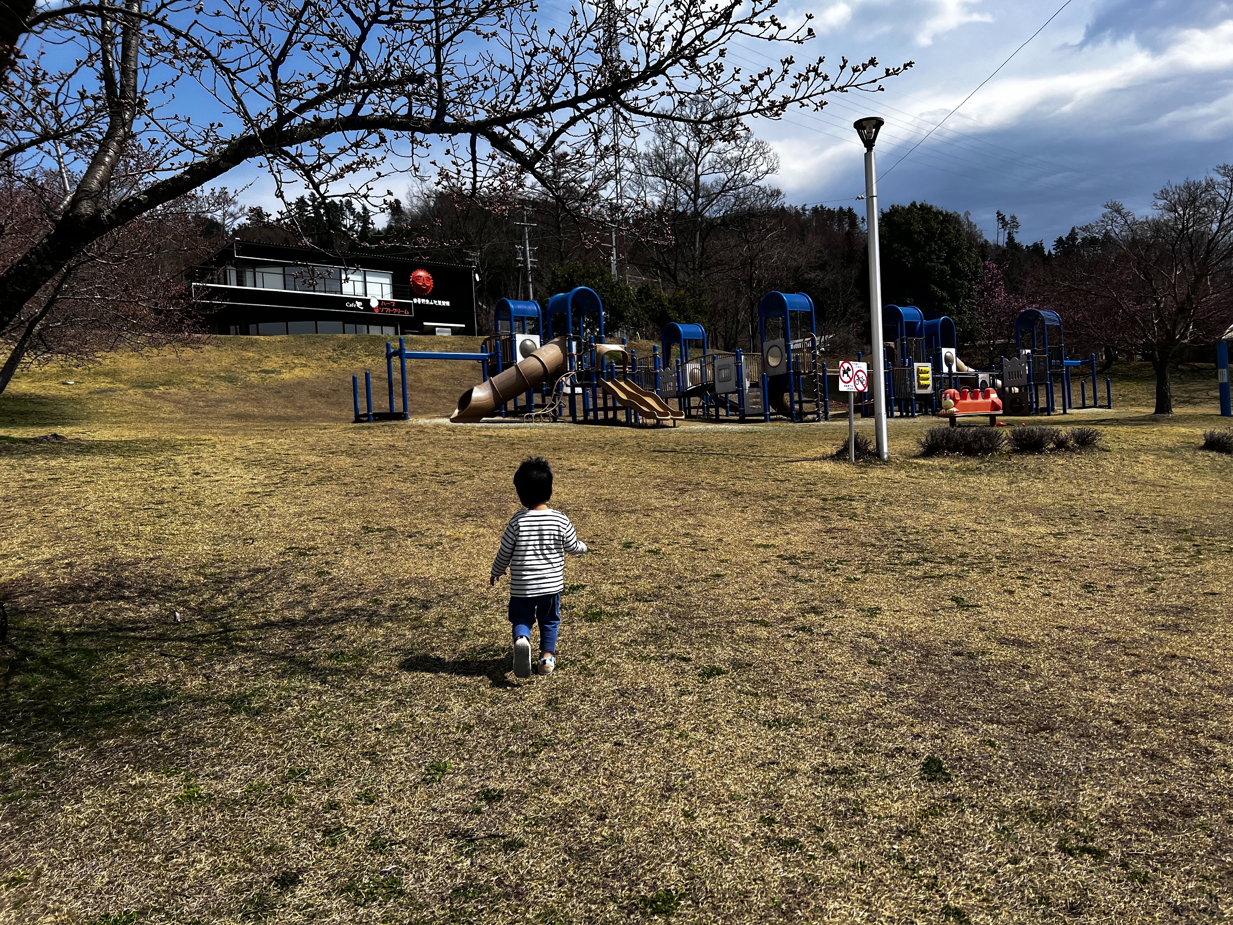 f:id:CNwriting:20250409010422j:image