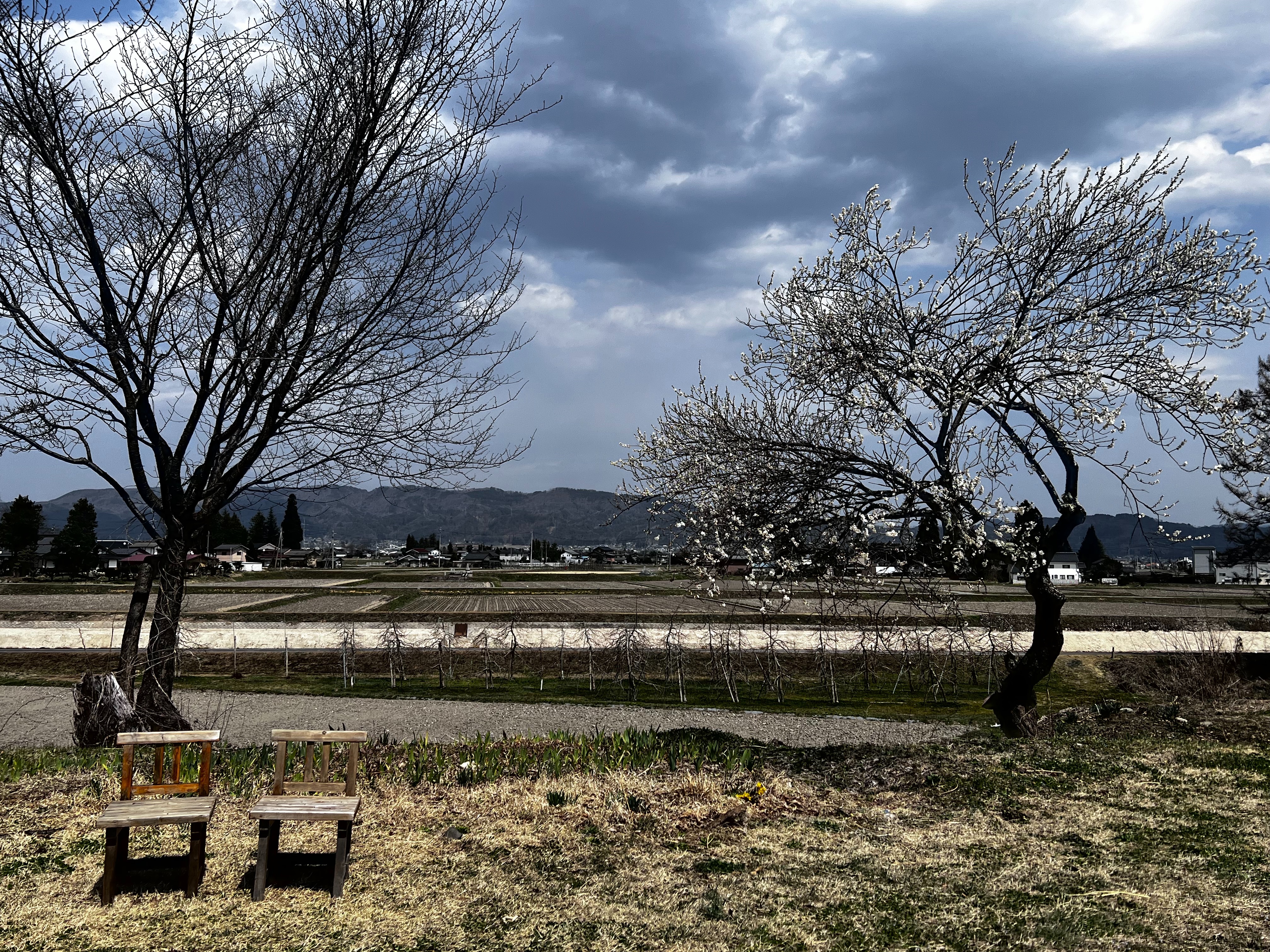 f:id:CNwriting:20250409010443j:image