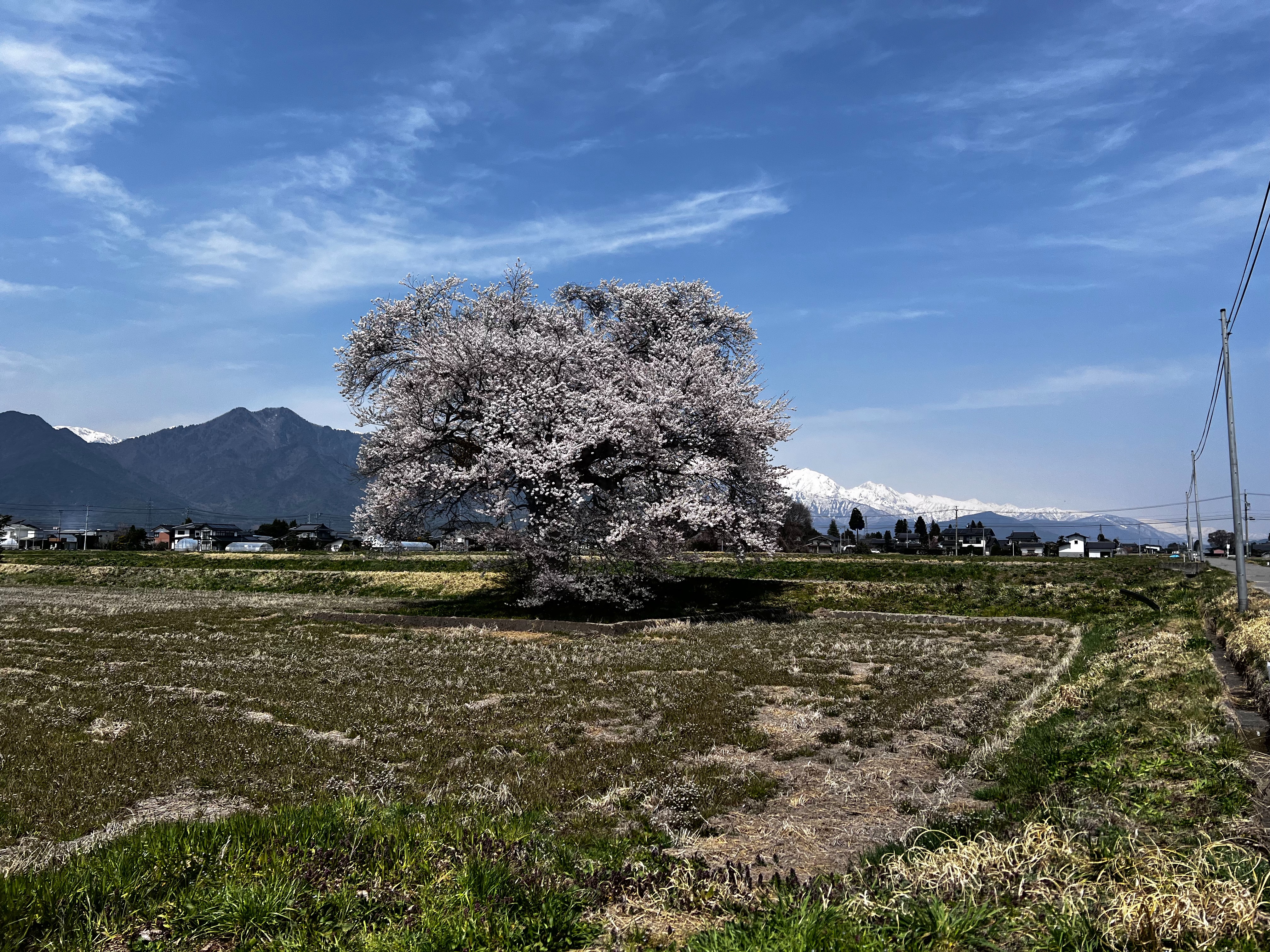 f:id:CNwriting:20250417165235j:image