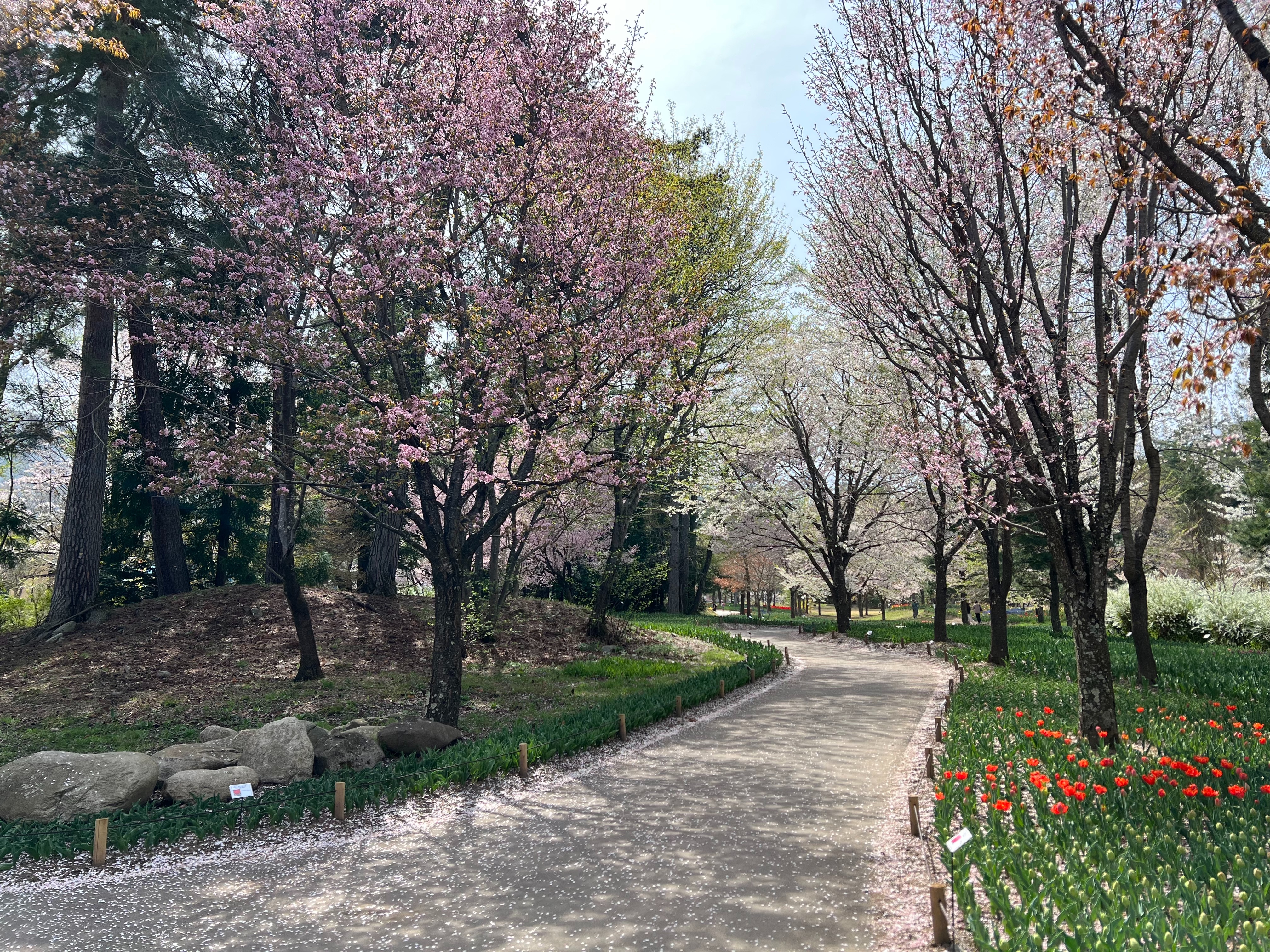 f:id:CNwriting:20250419162630j:image f:id:CNwriting:20250419162630j:image