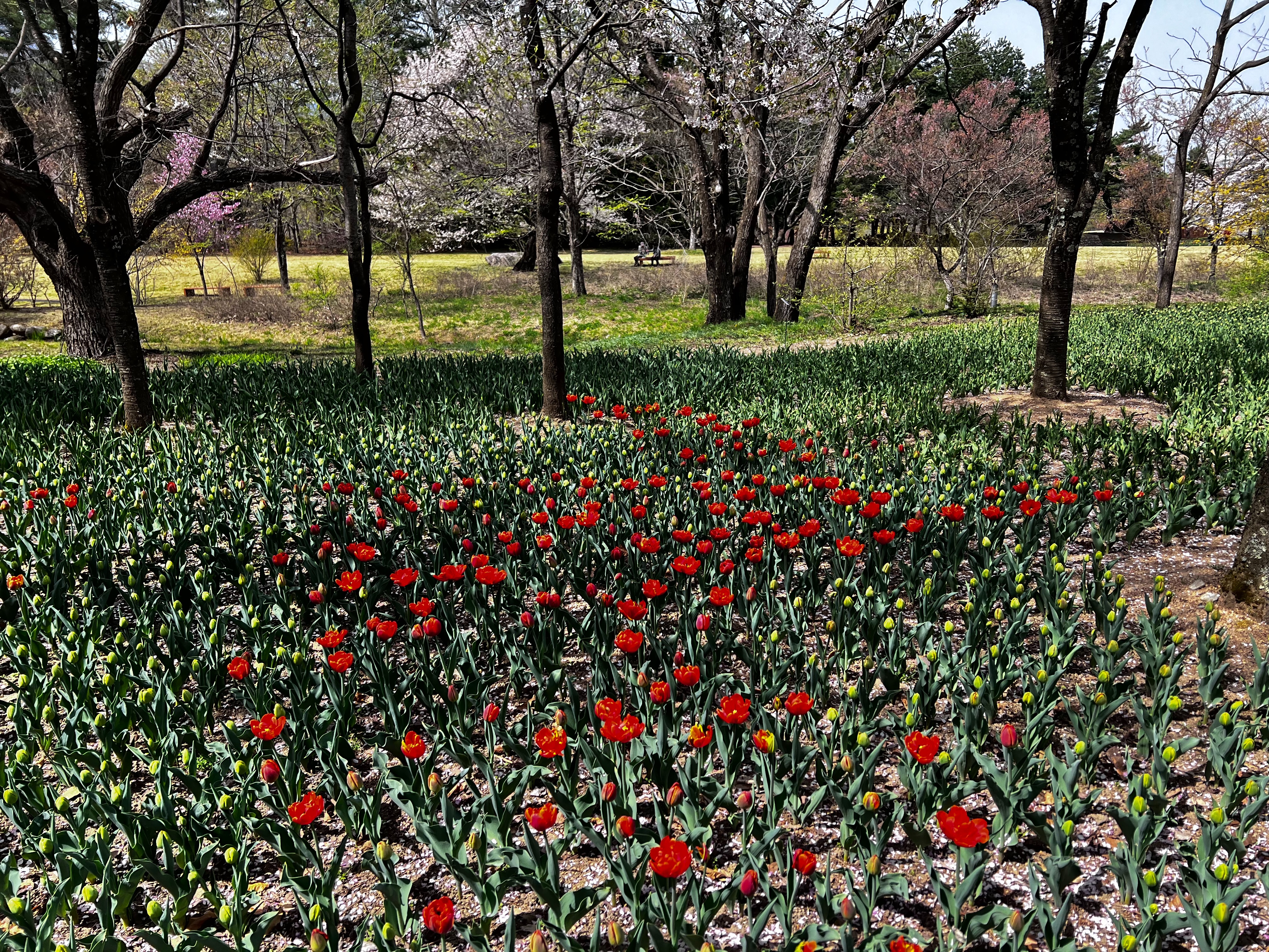 f:id:CNwriting:20250419162650j:image f:id:CNwriting:20250419162650j:image