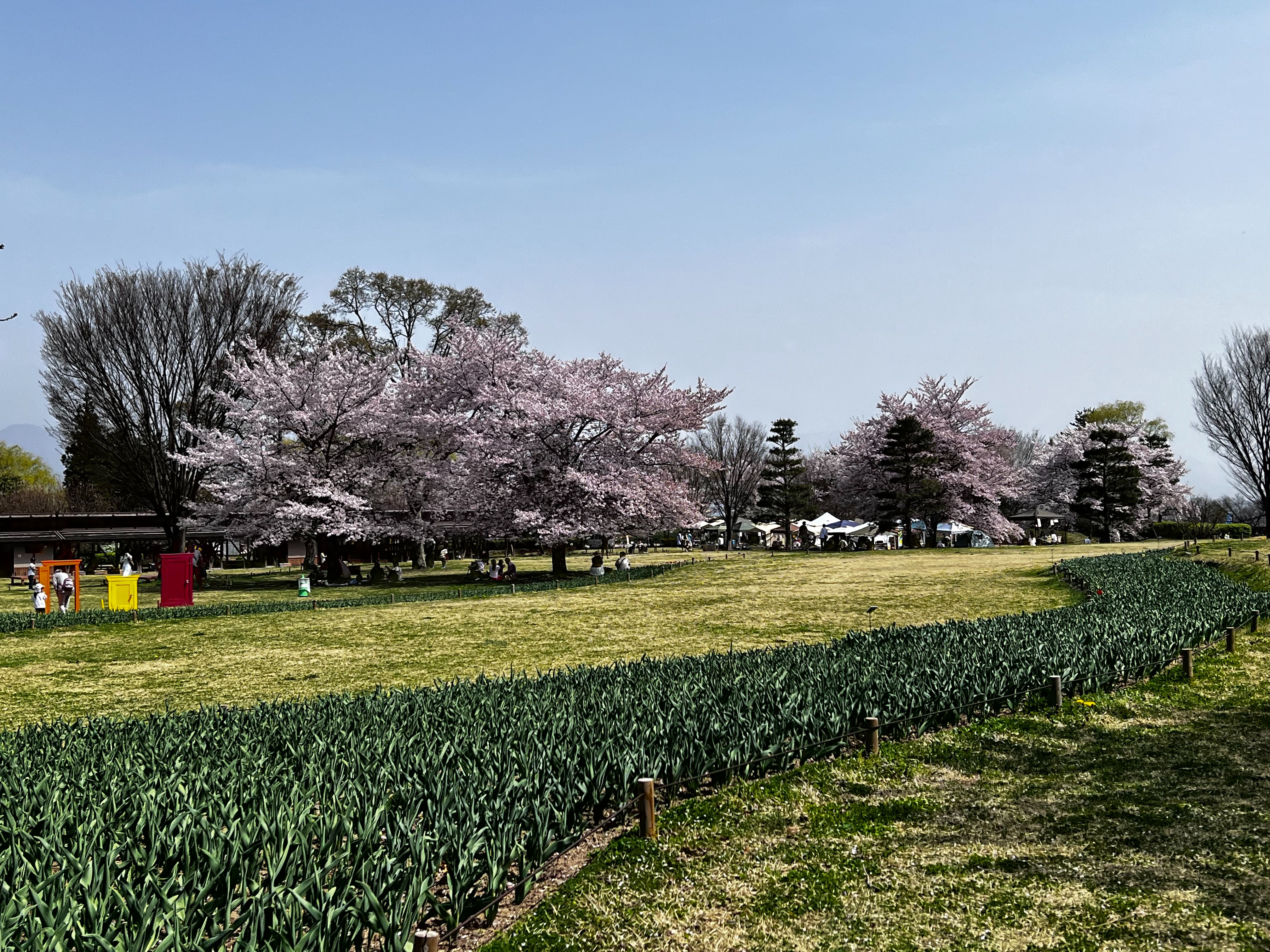 f:id:CNwriting:20250419162729j:image f:id:CNwriting:20250419162729j:image