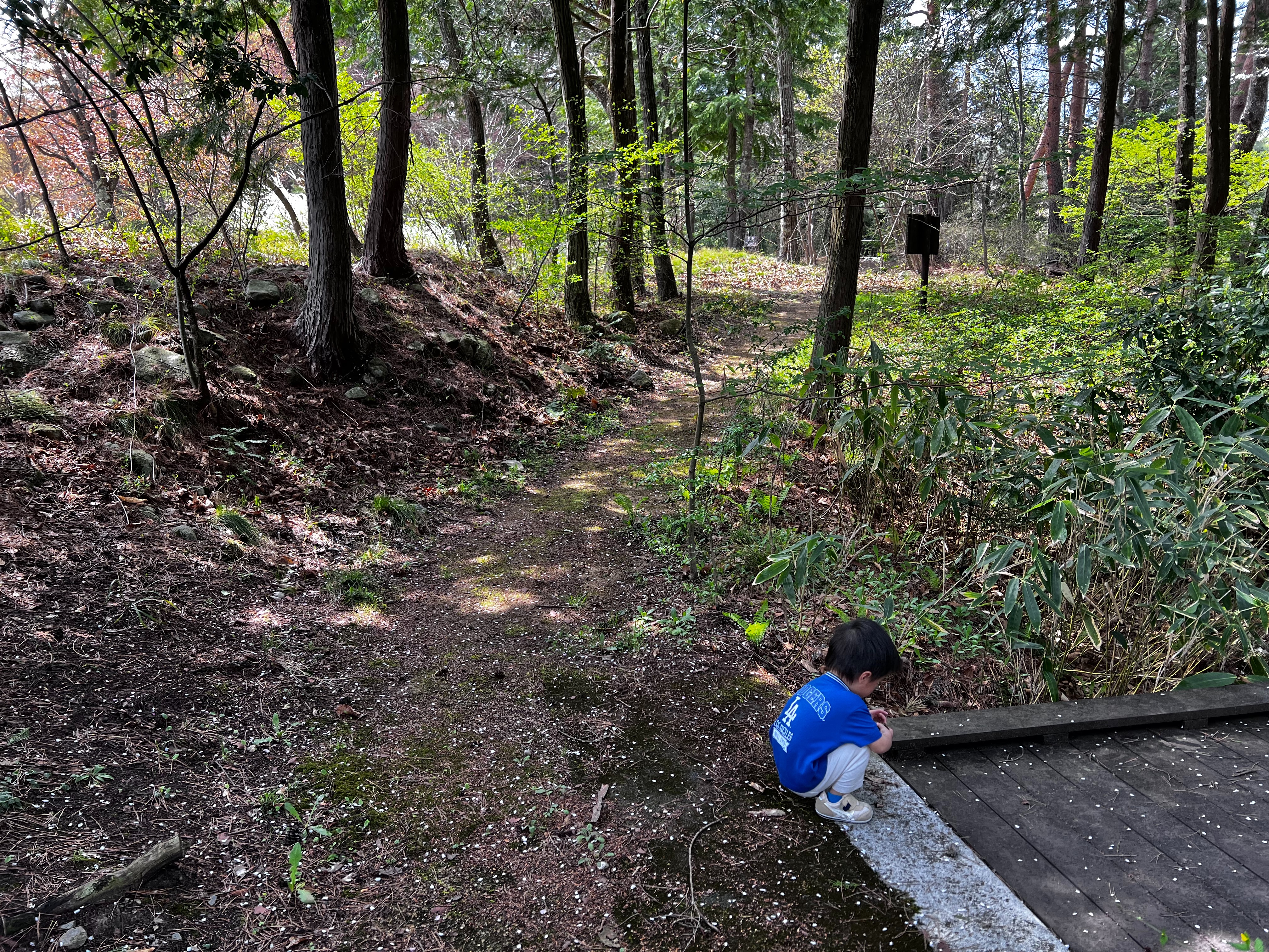 f:id:CNwriting:20250419162739j:image f:id:CNwriting:20250419162739j:image