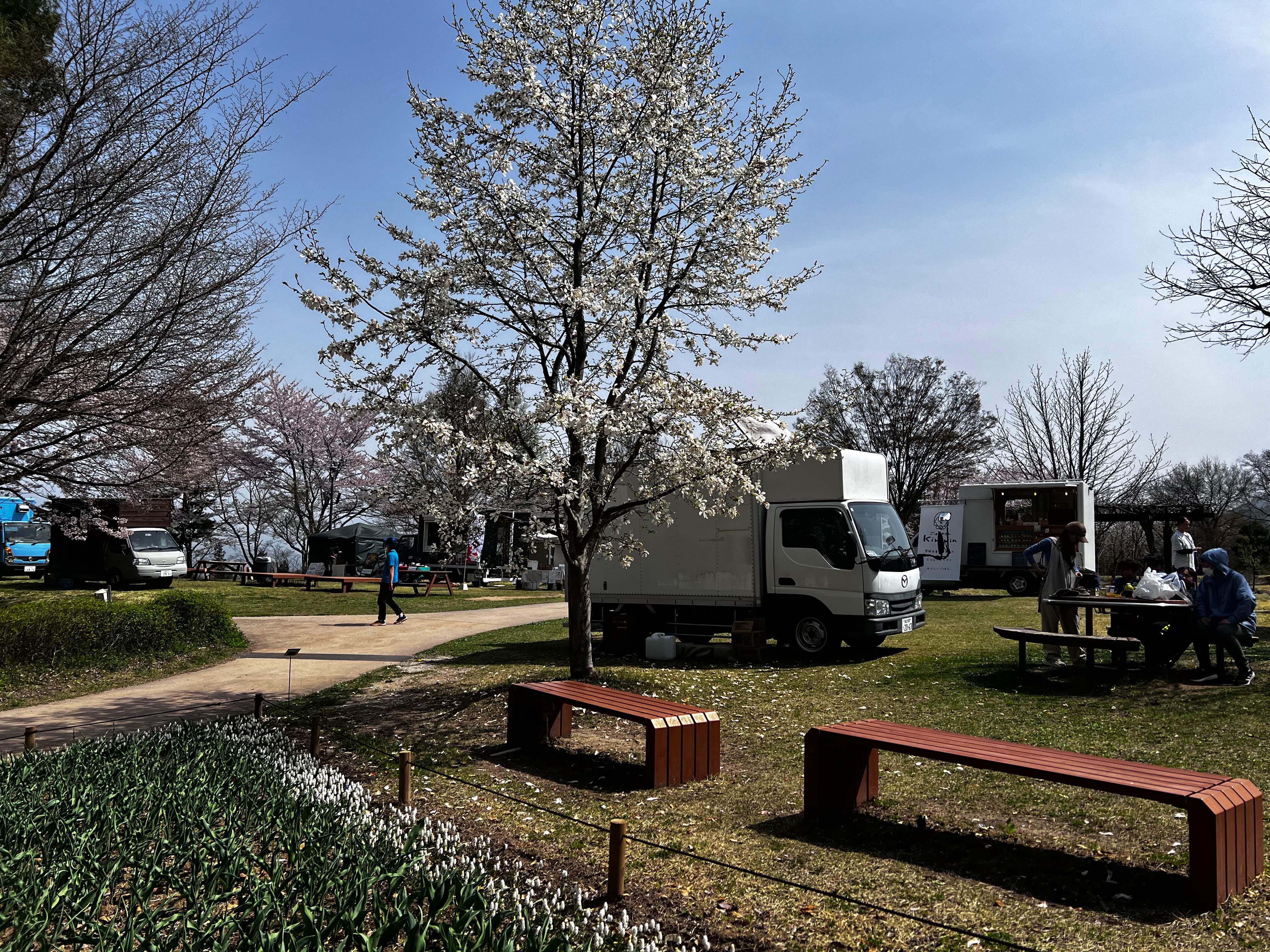 f:id:CNwriting:20250419162750j:image f:id:CNwriting:20250419162750j:image