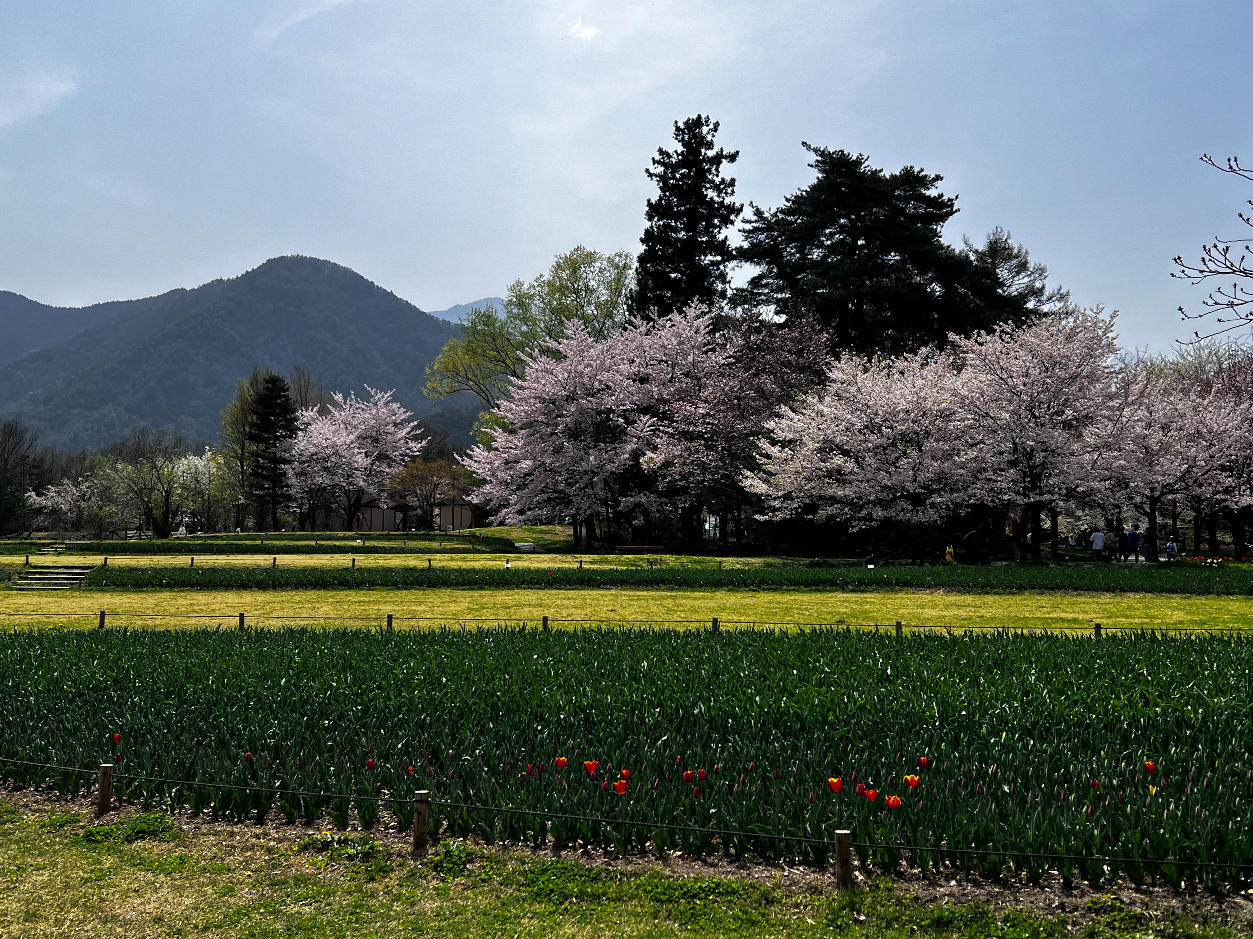 f:id:CNwriting:20250419162800j:image f:id:CNwriting:20250419162800j:image