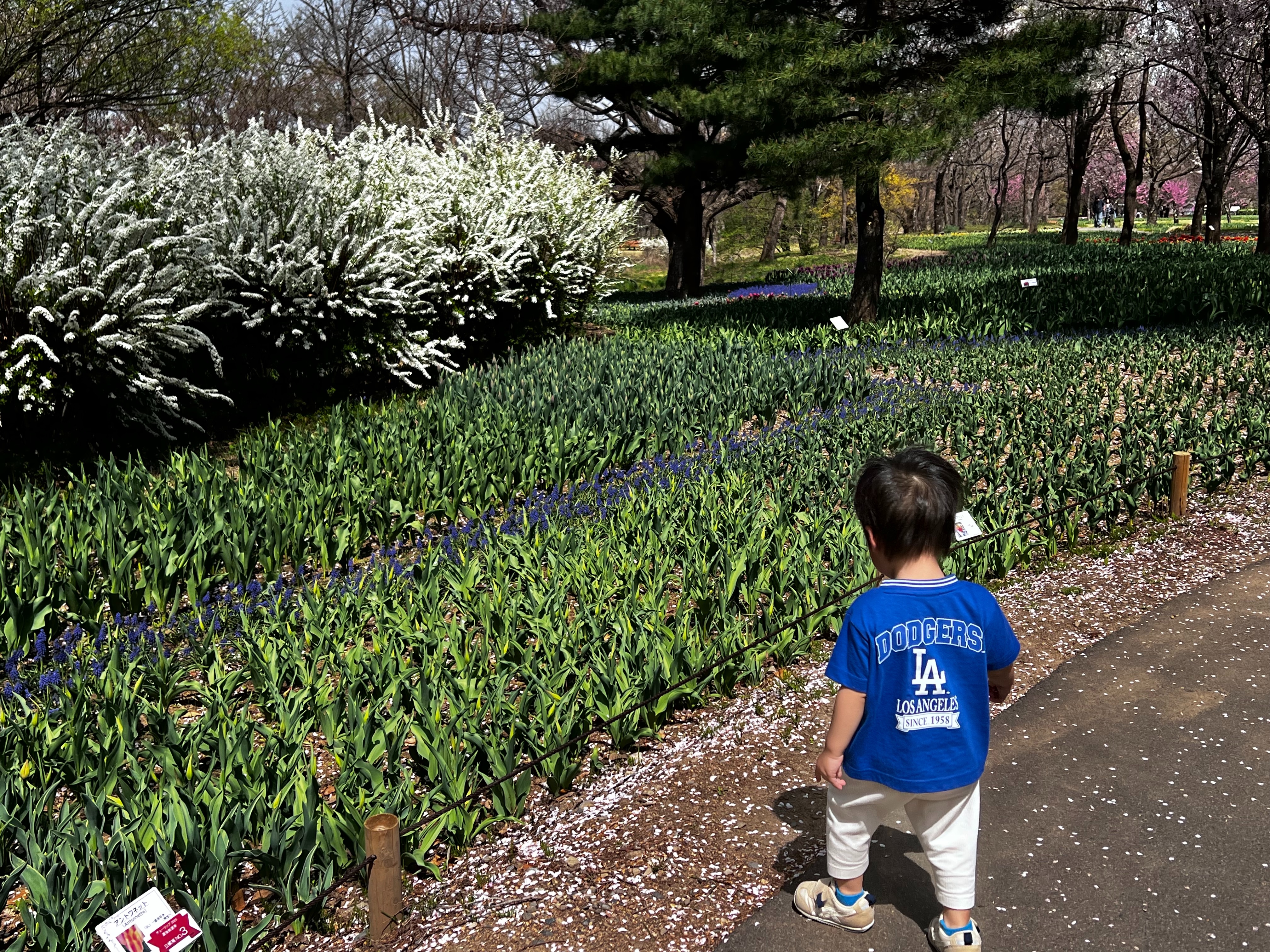 f:id:CNwriting:20250419162848j:image f:id:CNwriting:20250419162848j:image