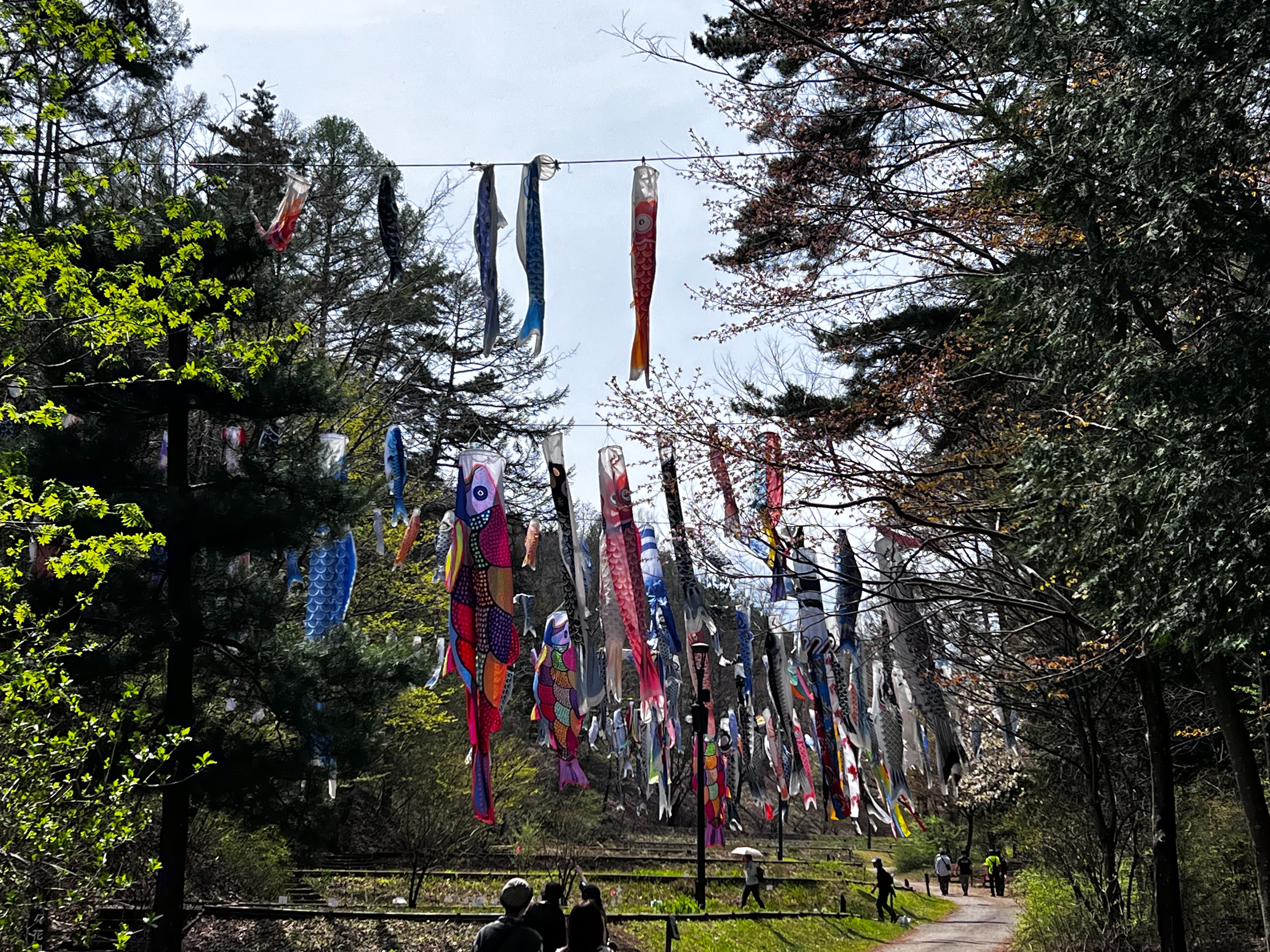 f:id:CNwriting:20250419162917j:image f:id:CNwriting:20250419162917j:image