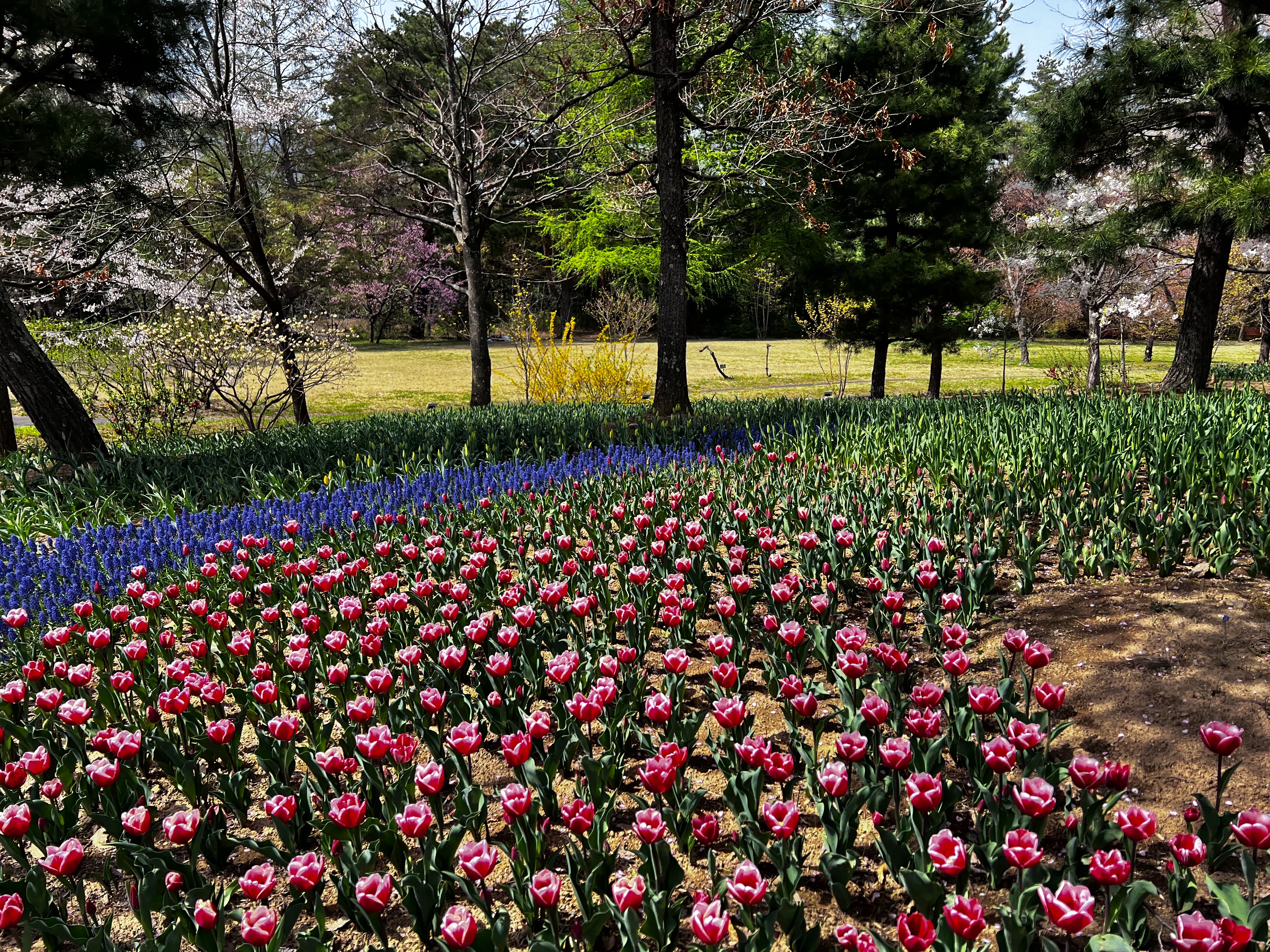 f:id:CNwriting:20250419162937j:image f:id:CNwriting:20250419162937j:image