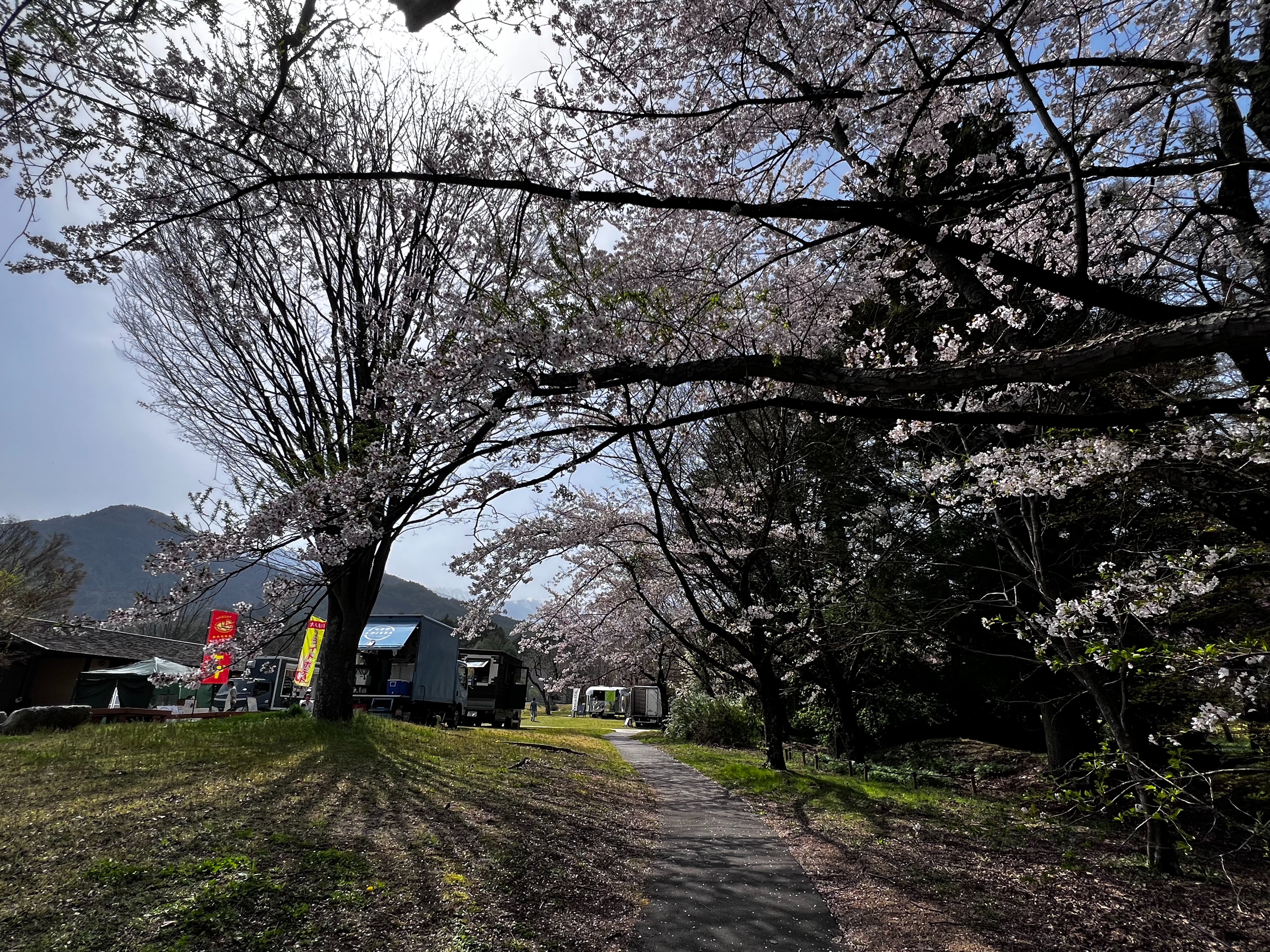 f:id:CNwriting:20250419163007j:image f:id:CNwriting:20250419163007j:image