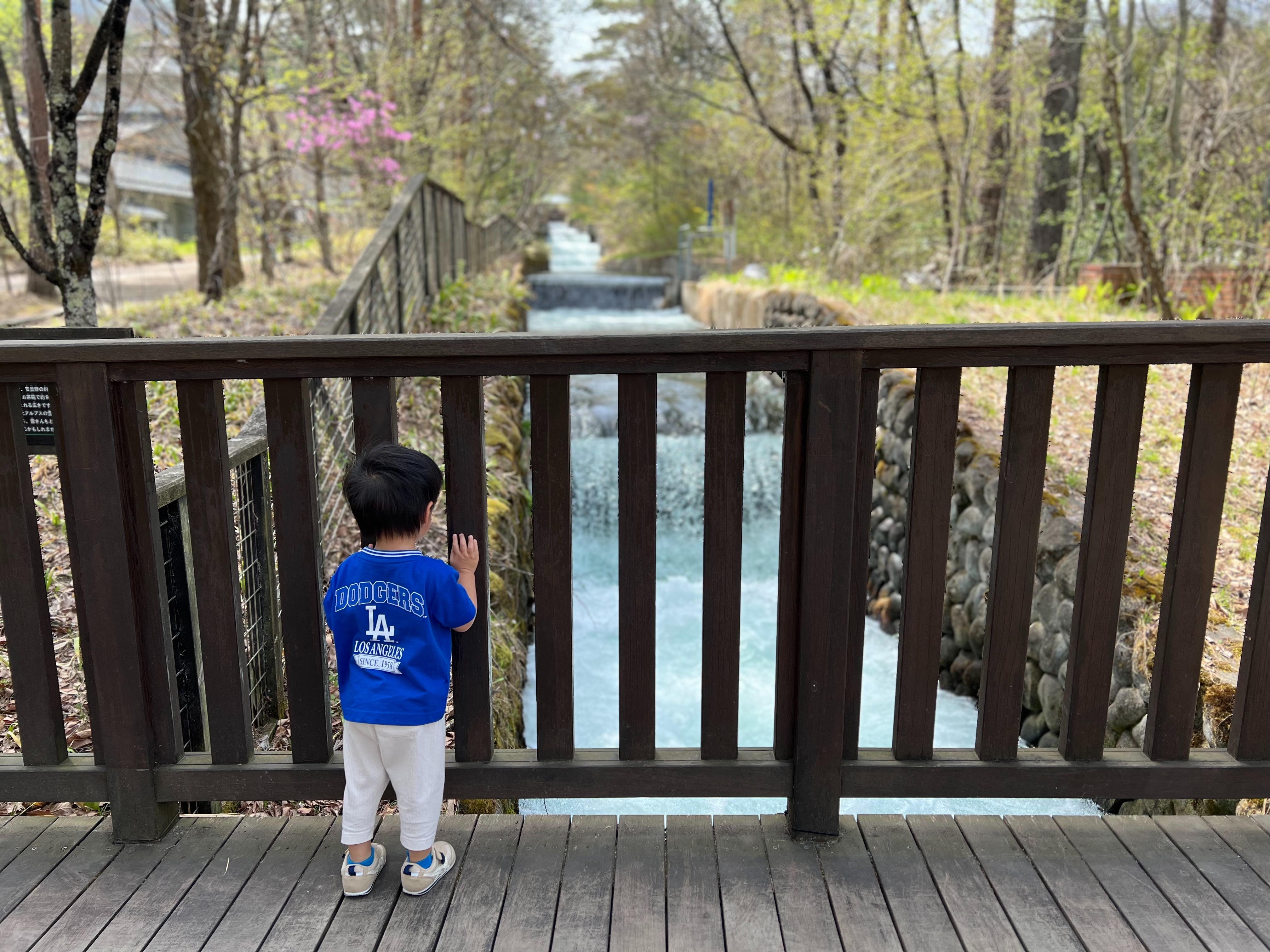 f:id:CNwriting:20250419163017j:image f:id:CNwriting:20250419163017j:image