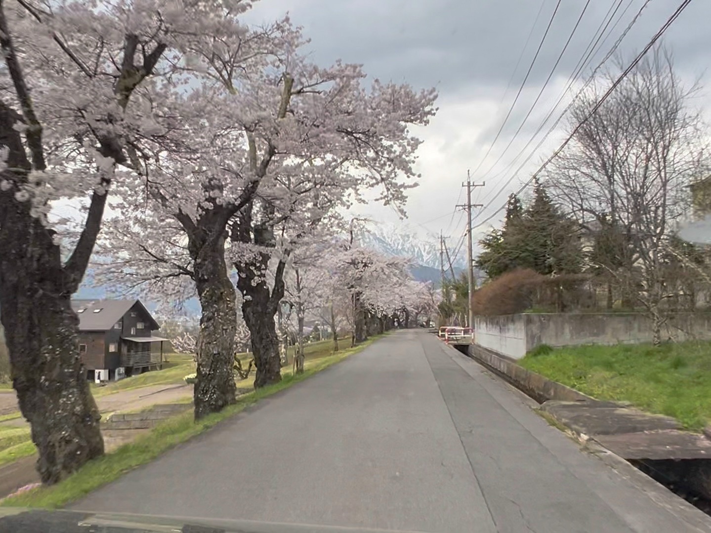 f:id:CNwriting:20250420223809j:image