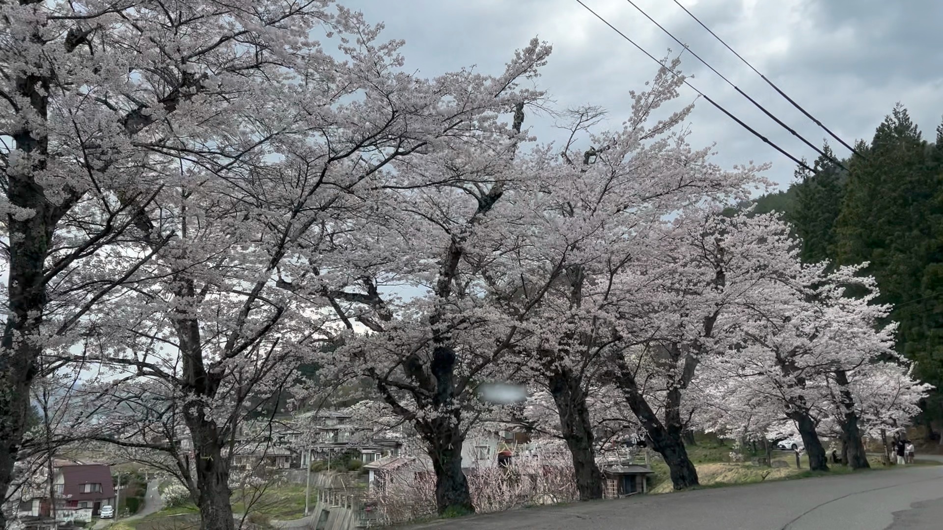f:id:CNwriting:20250420223814j:image