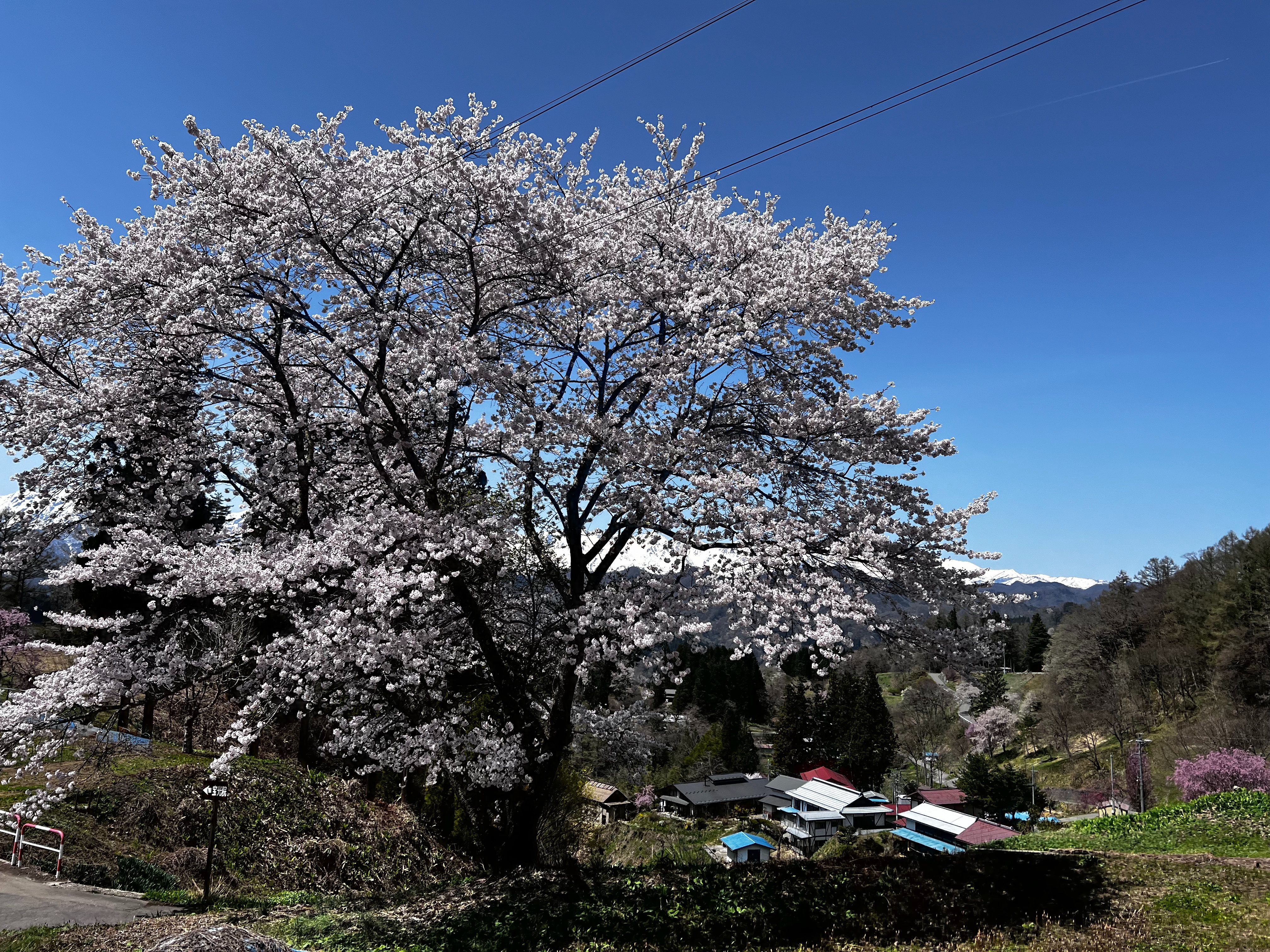 f:id:CNwriting:20250421162908j:image f:id:CNwriting:20250421162908j:image