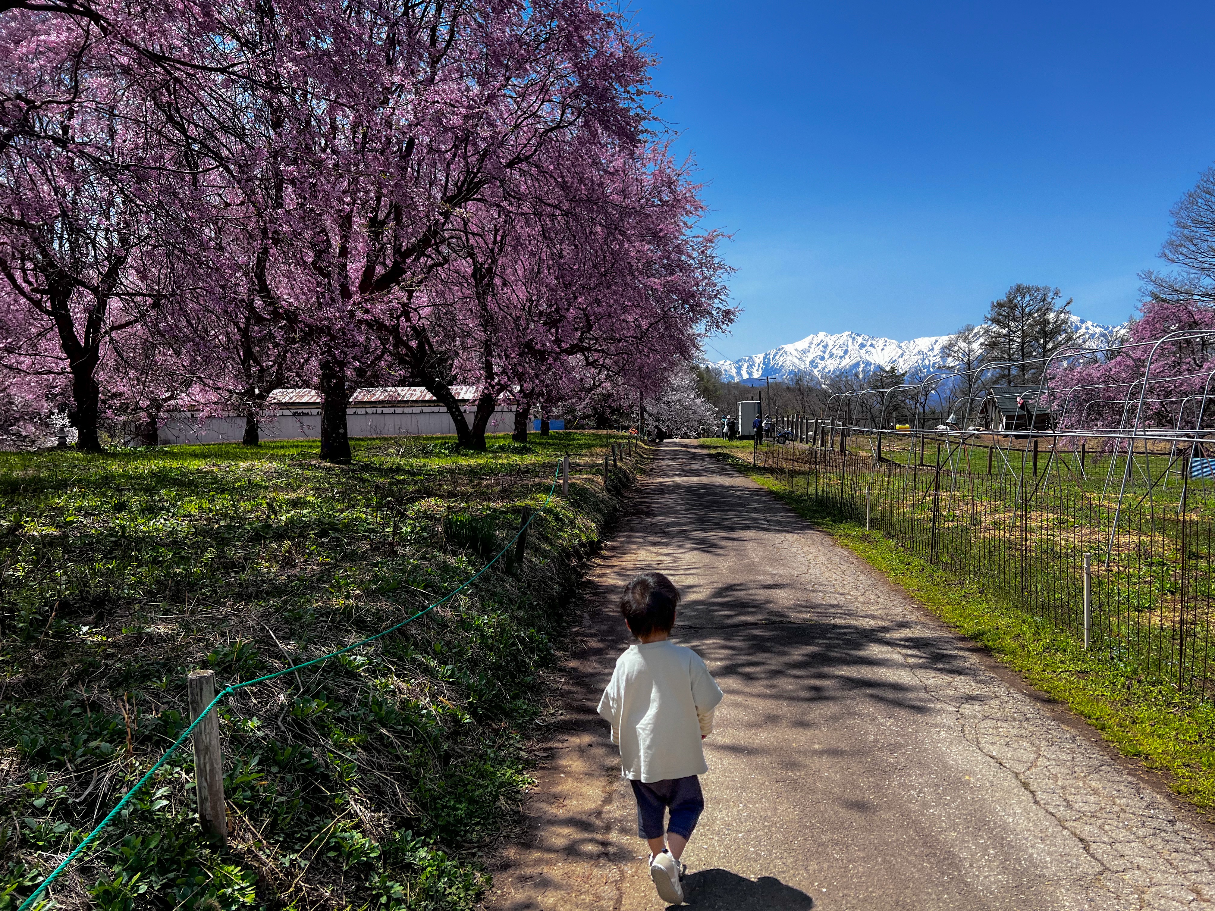 f:id:CNwriting:20250421204112j:image f:id:CNwriting:20250421204112j:image