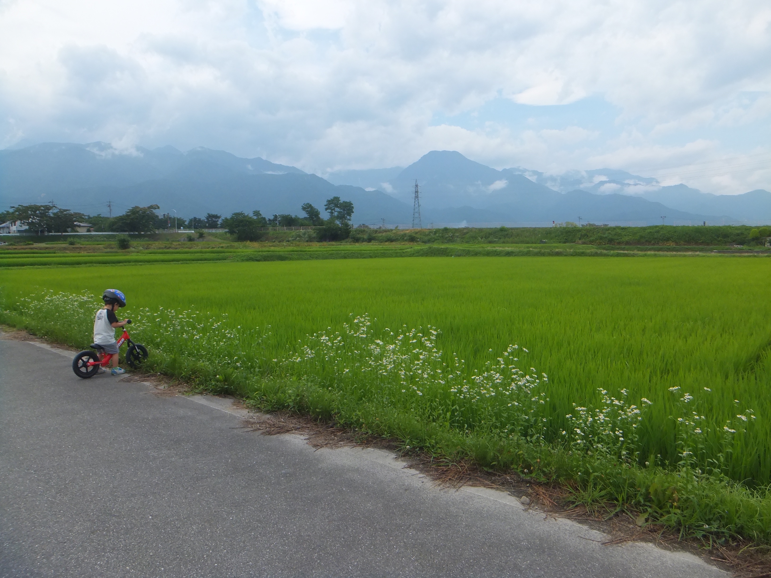 f:id:CNwriting:20250421234826j:image