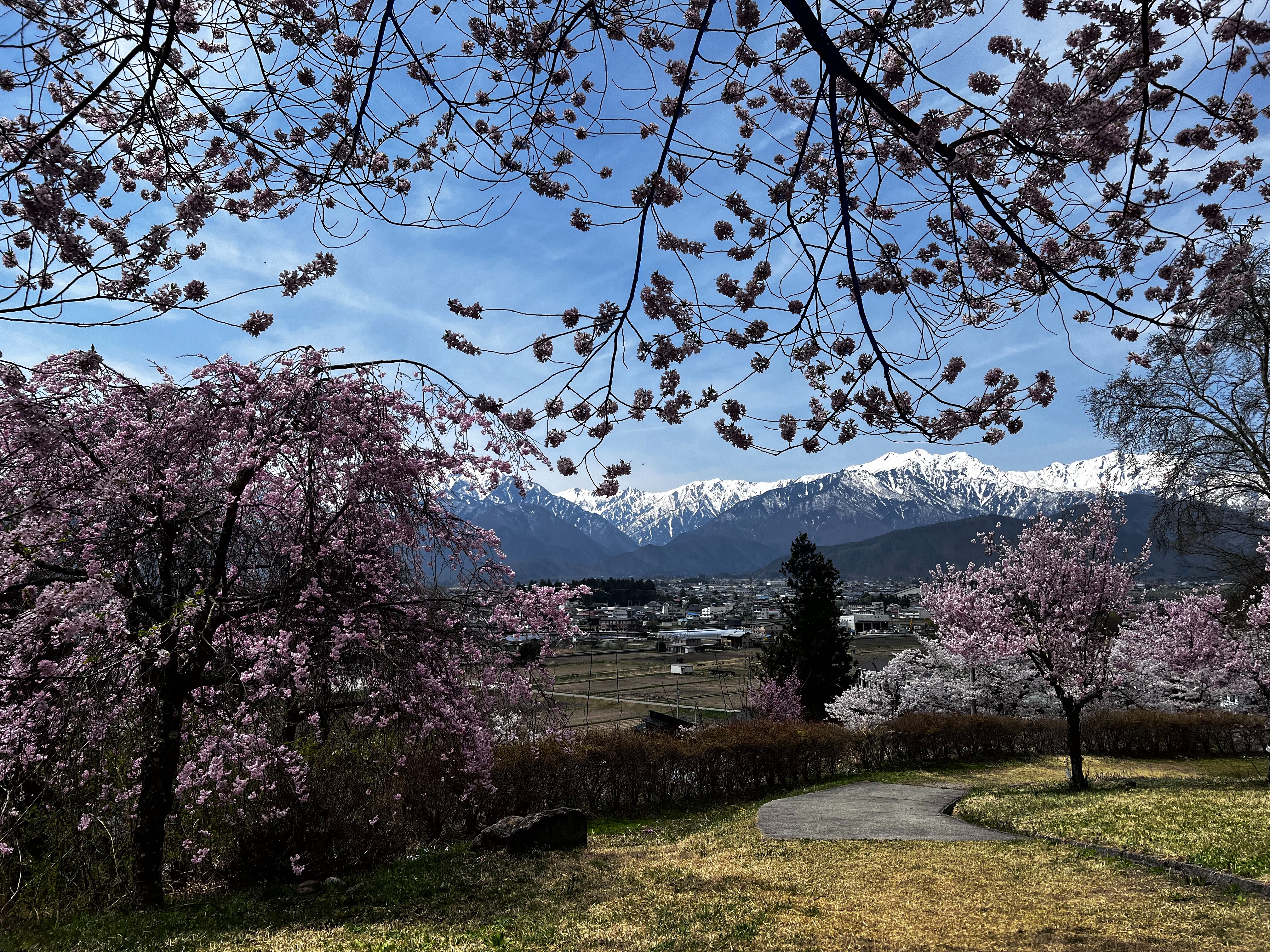 f:id:CNwriting:20250422180000j:image