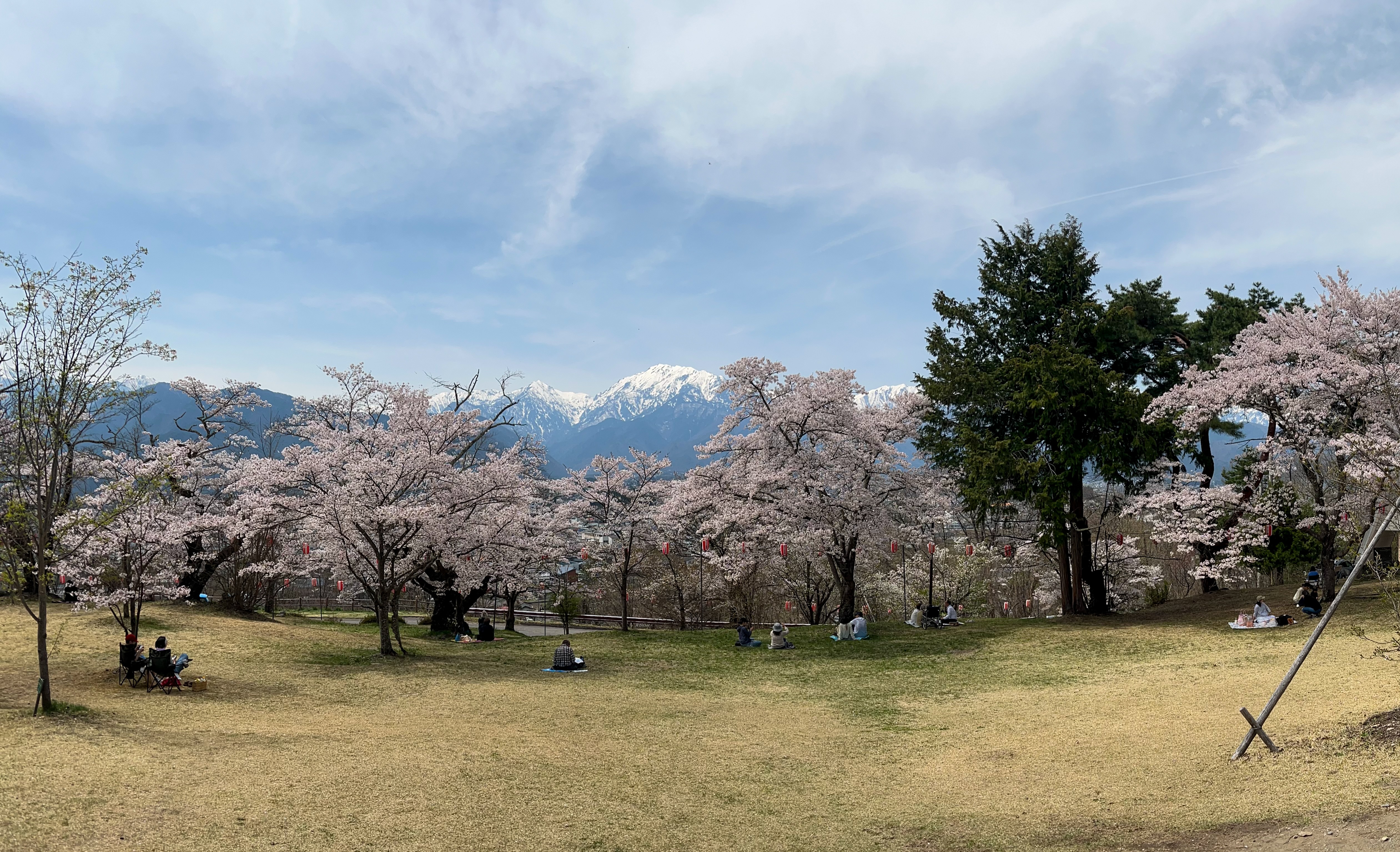 f:id:CNwriting:20250422180033j:image