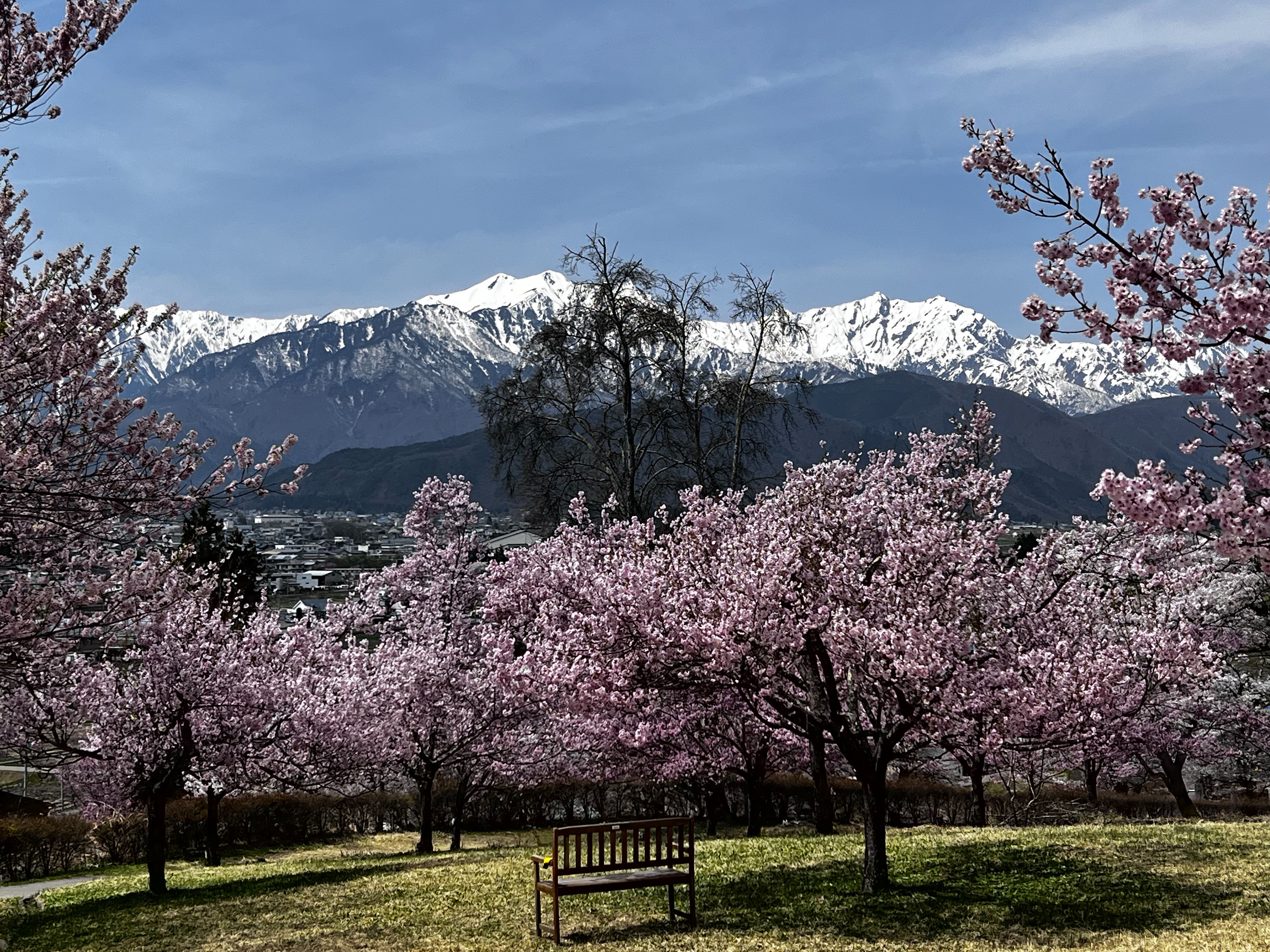 f:id:CNwriting:20250422180100j:image