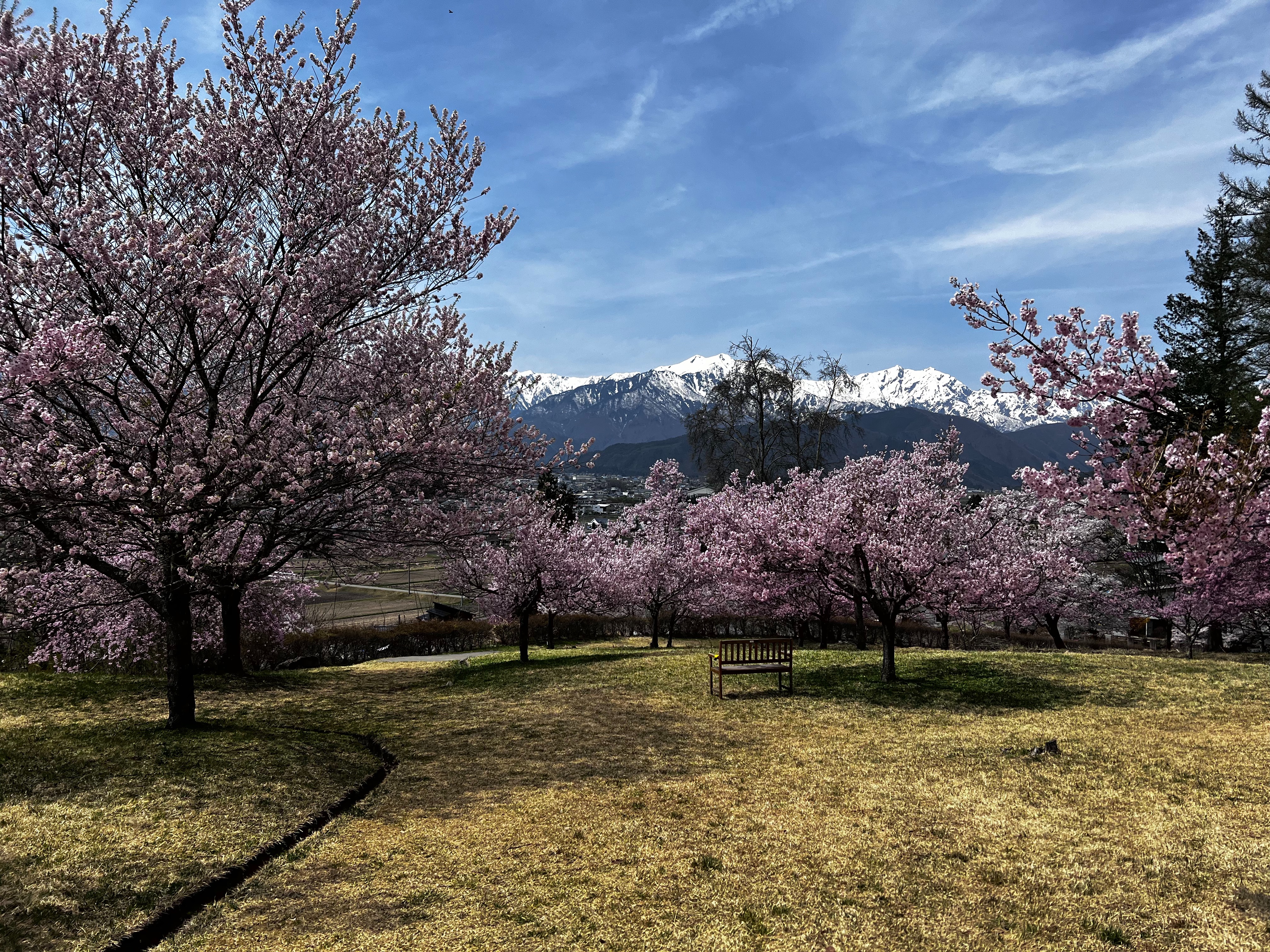 f:id:CNwriting:20250422180124j:image