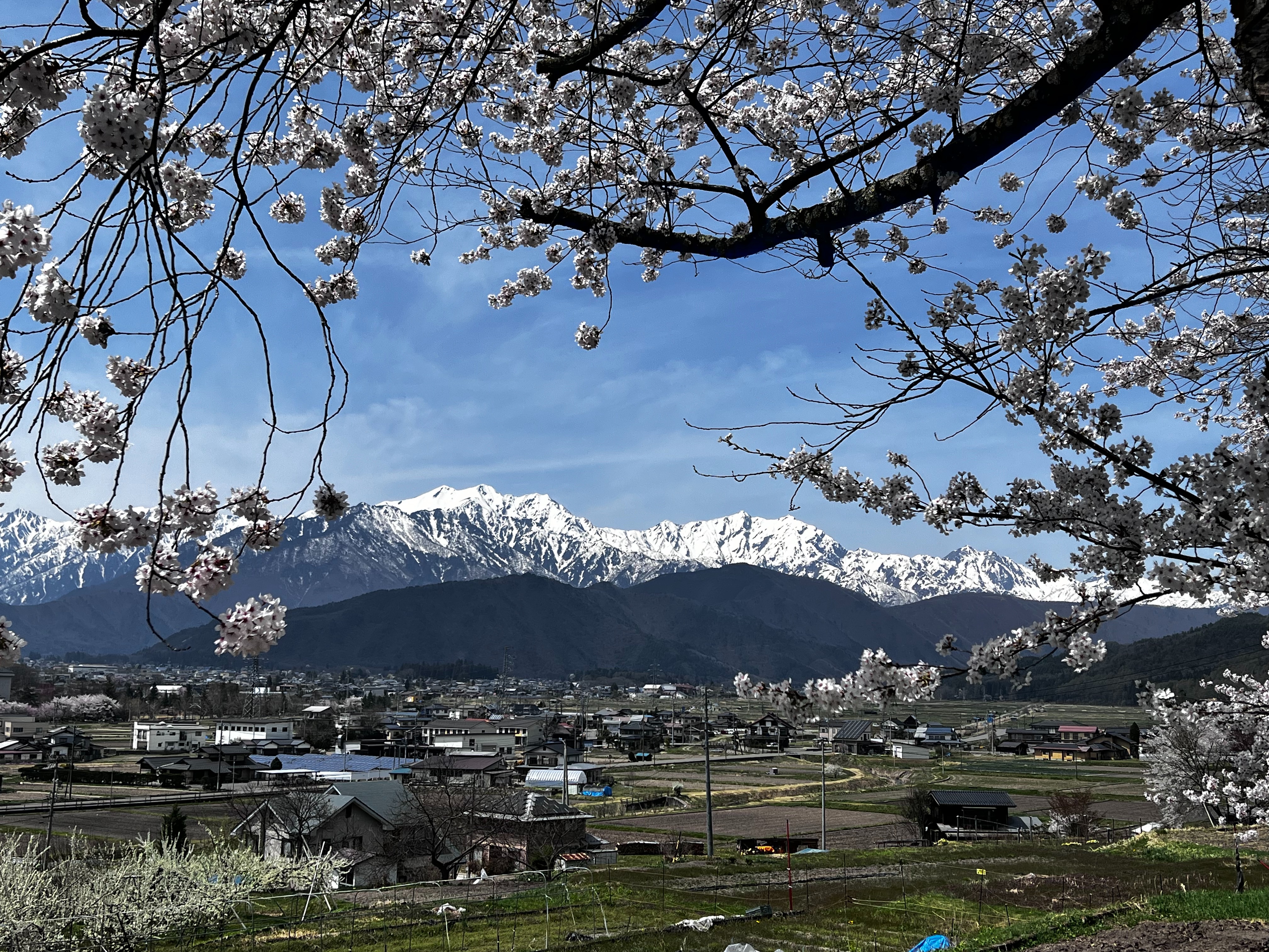 f:id:CNwriting:20250422180216j:image