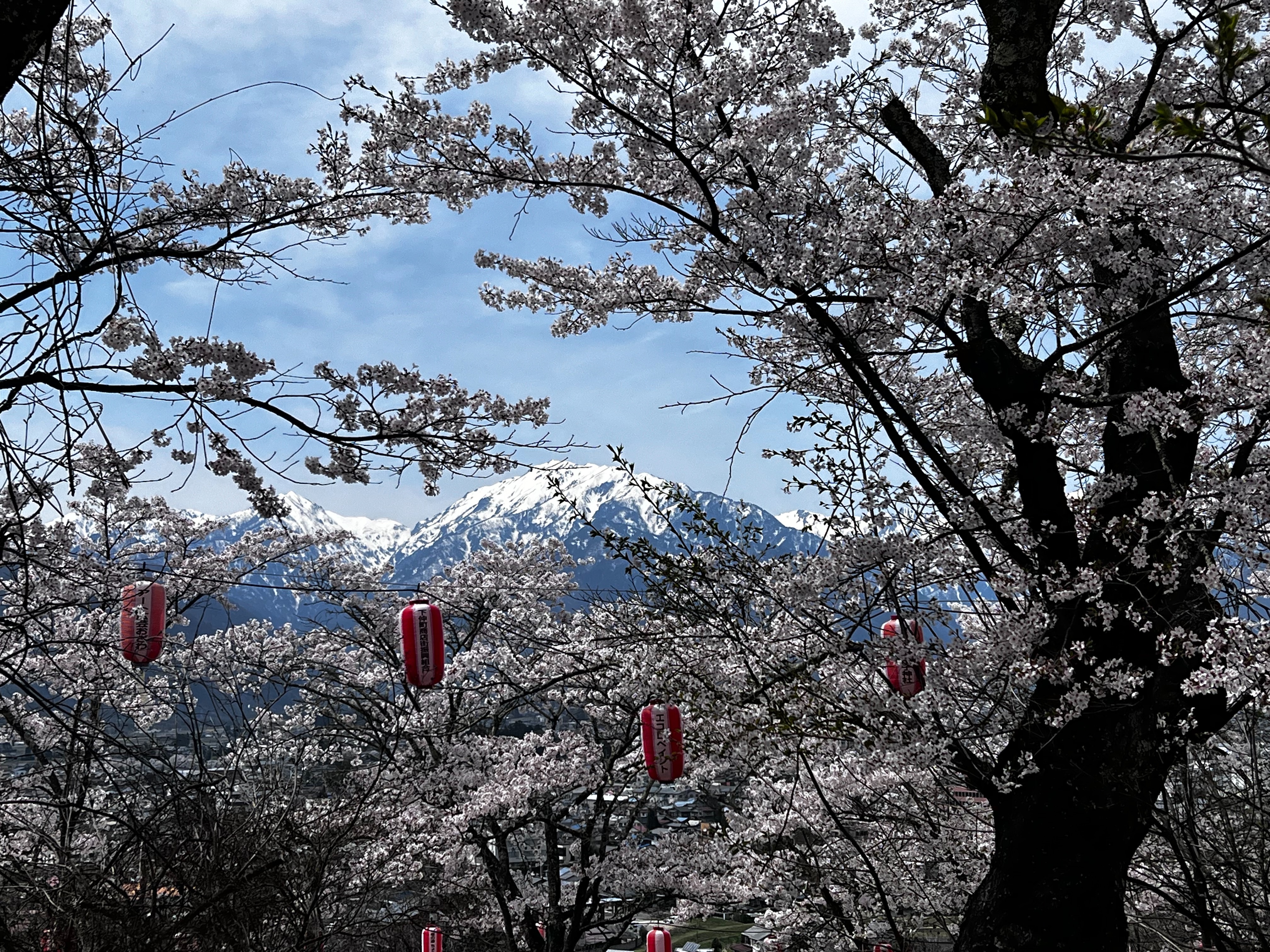 f:id:CNwriting:20250422180222j:image