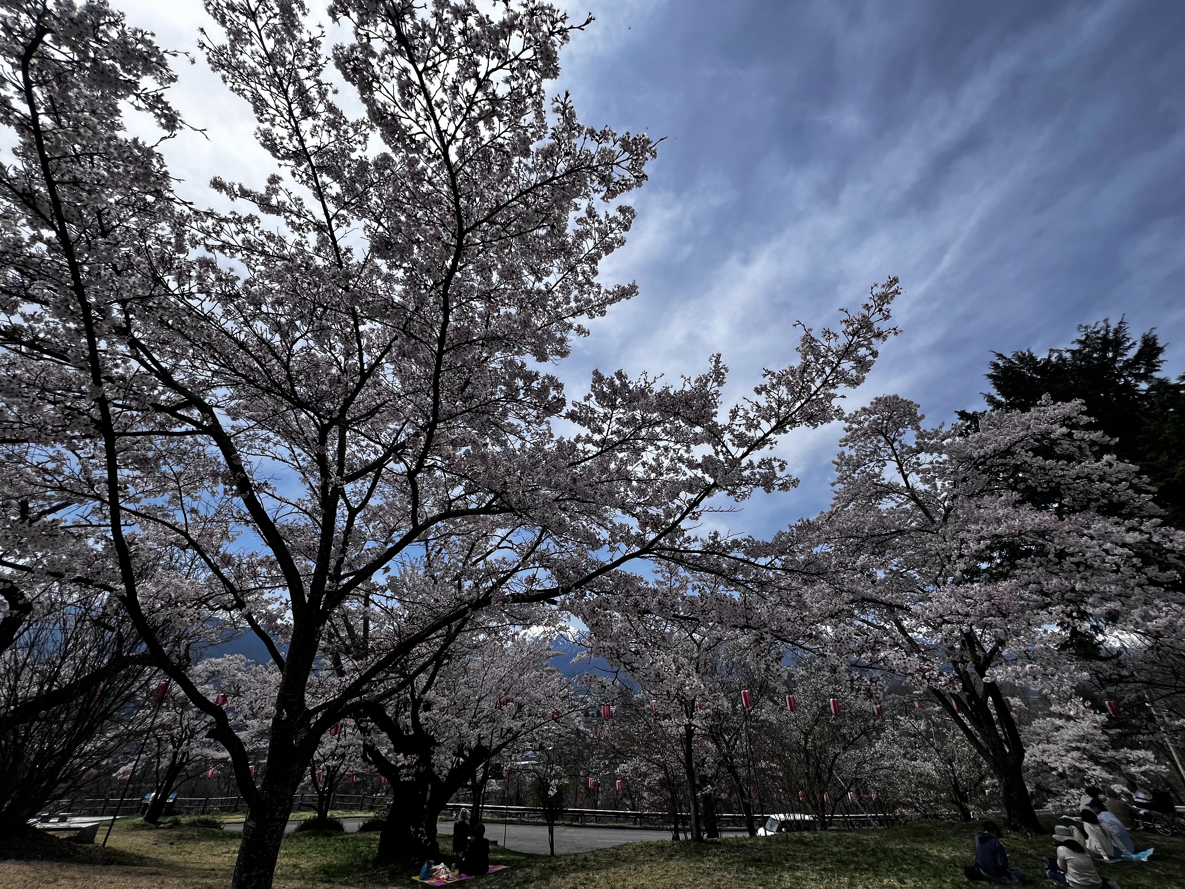 f:id:CNwriting:20250422180410j:image