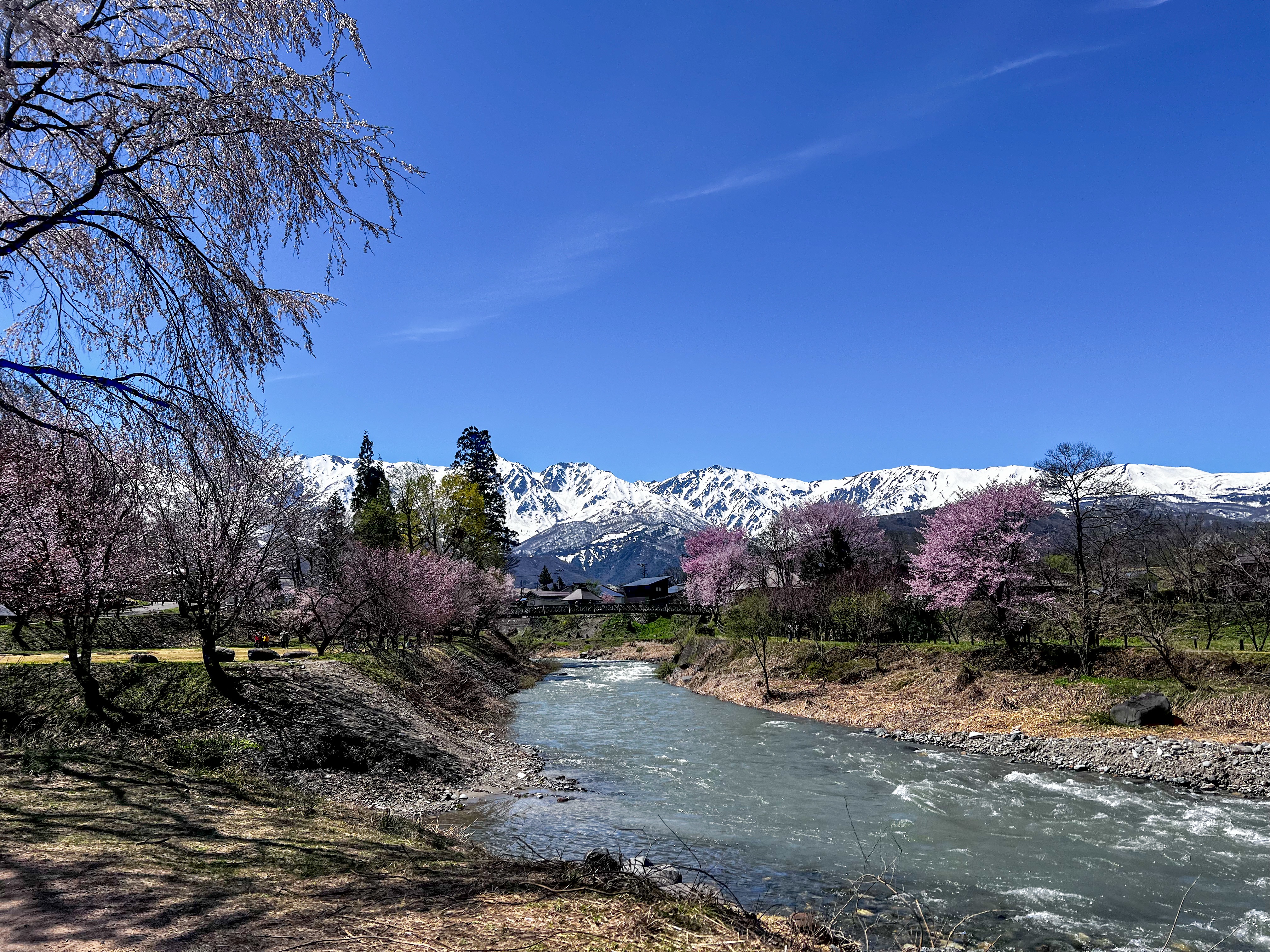 f:id:CNwriting:20250424172719j:image