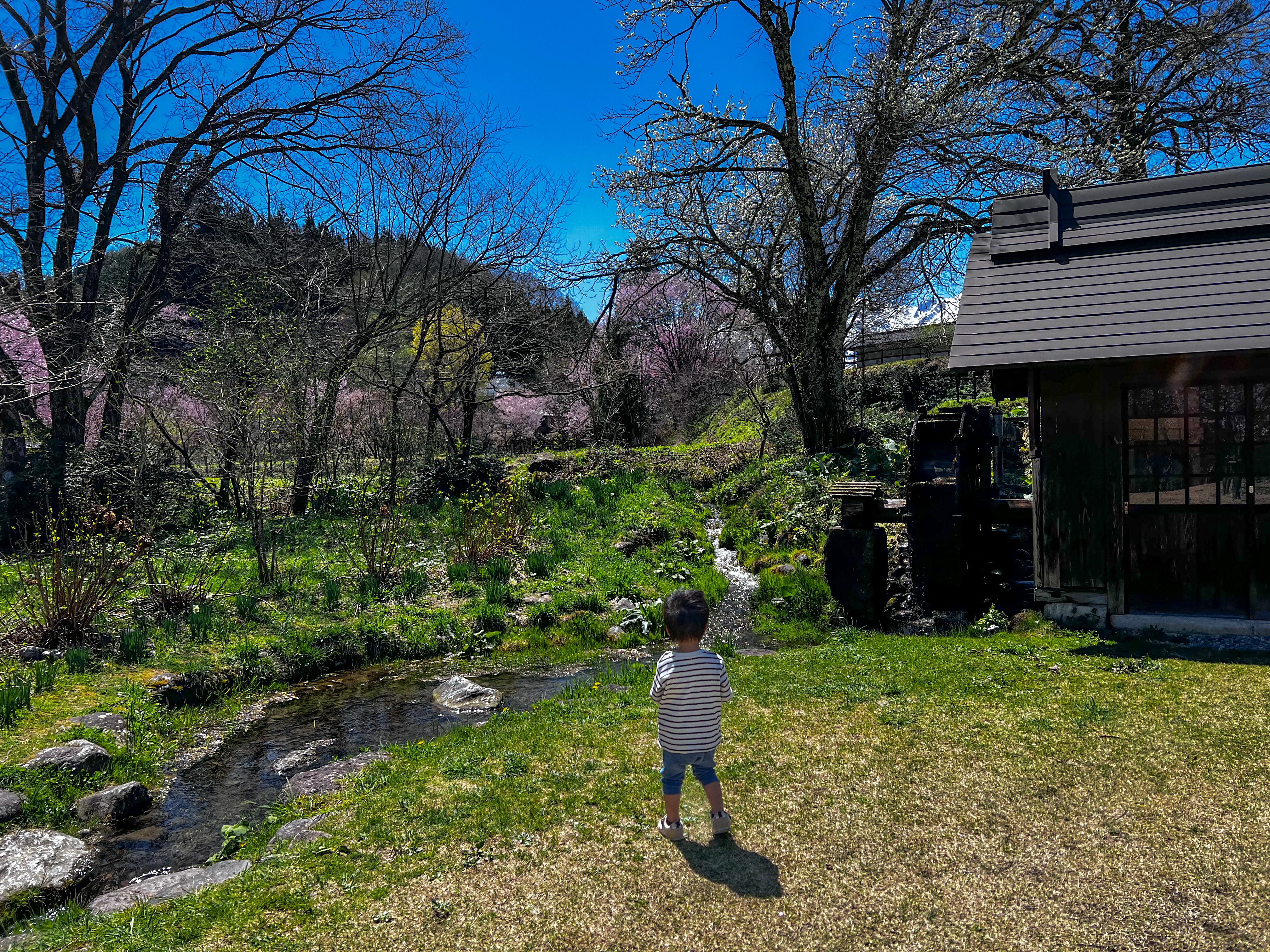 f:id:CNwriting:20250424230228j:image