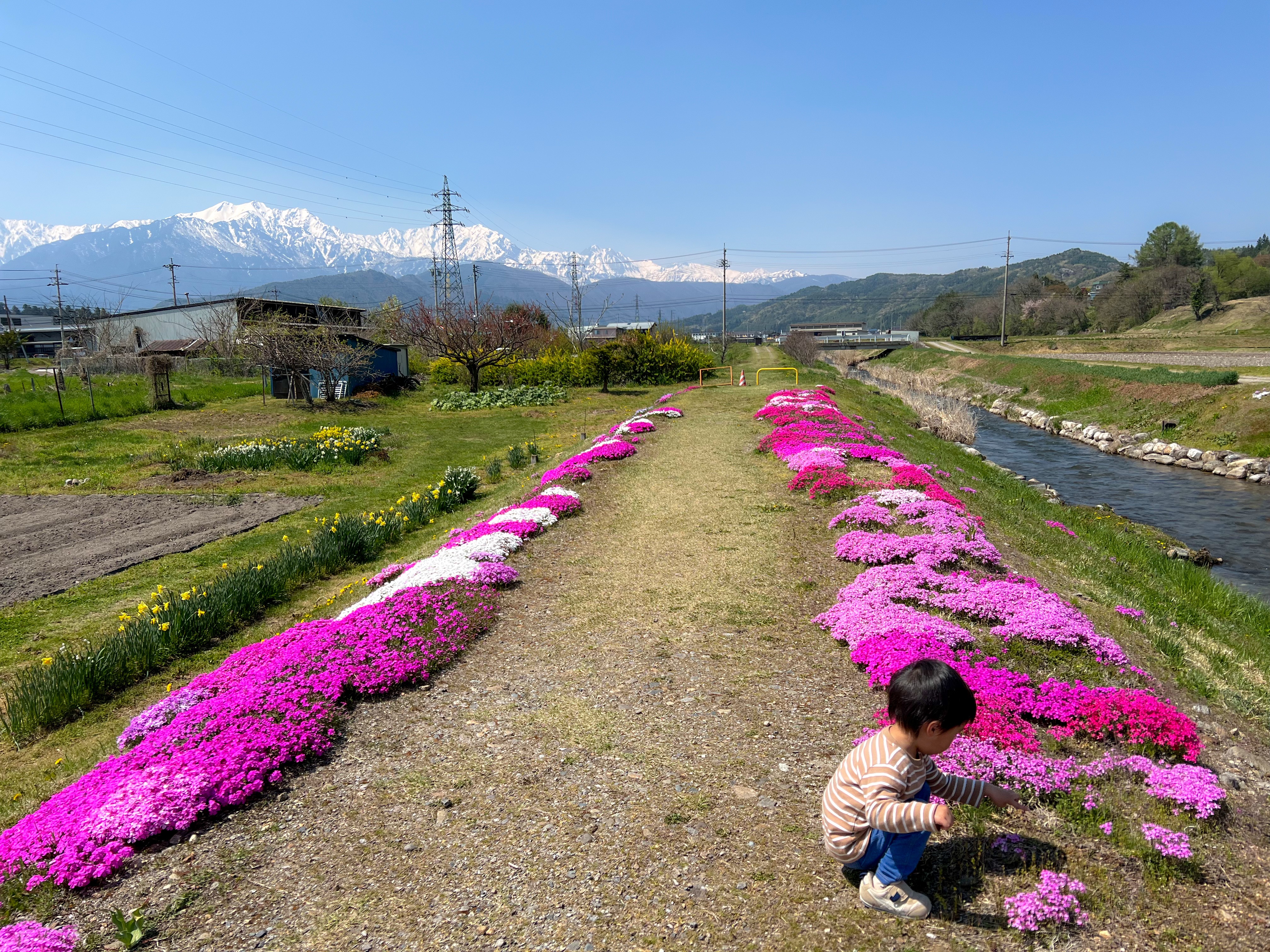 f:id:CNwriting:20250503195147j:image