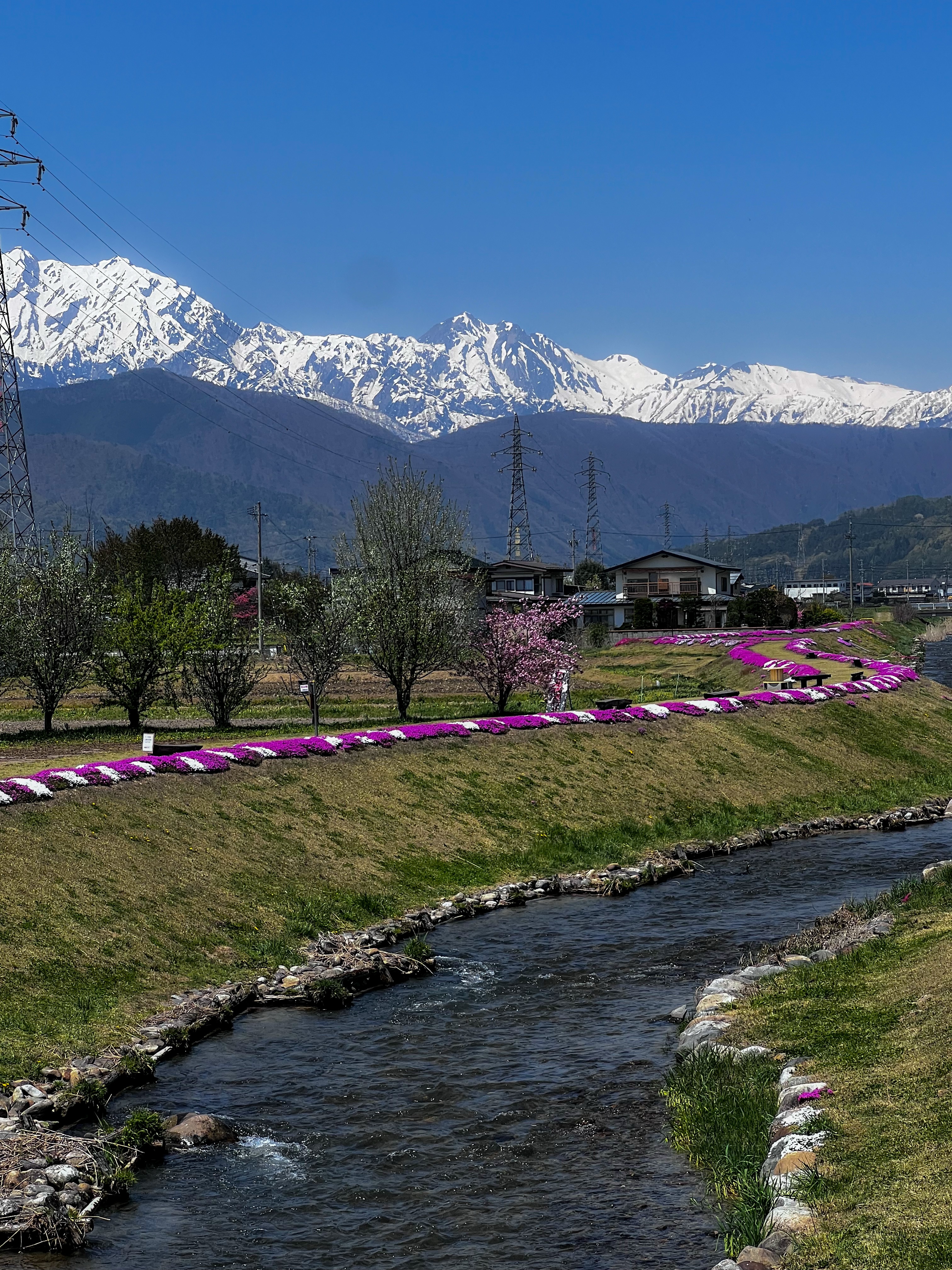 f:id:CNwriting:20250503195201j:image