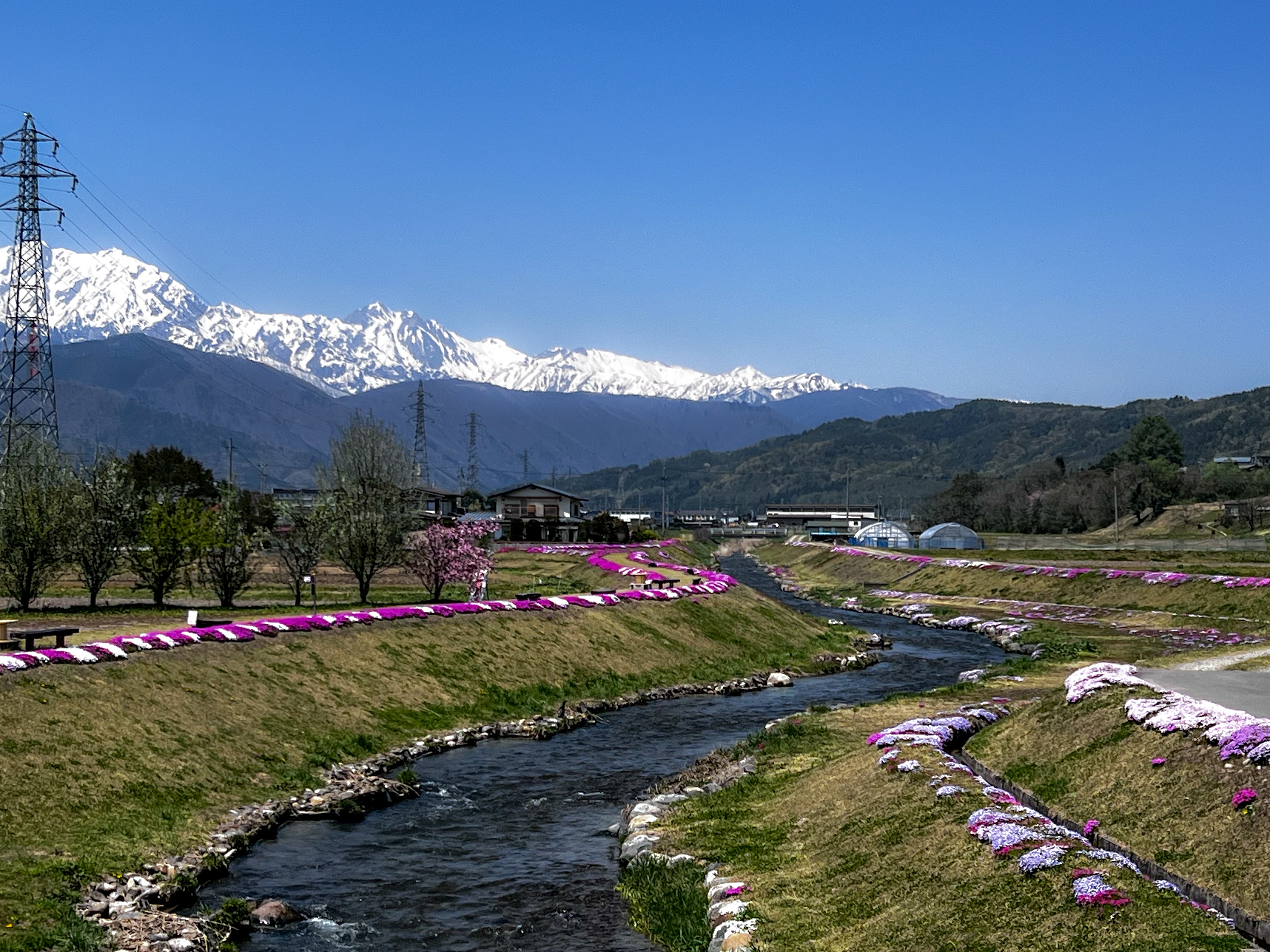 f:id:CNwriting:20250503195318j:image