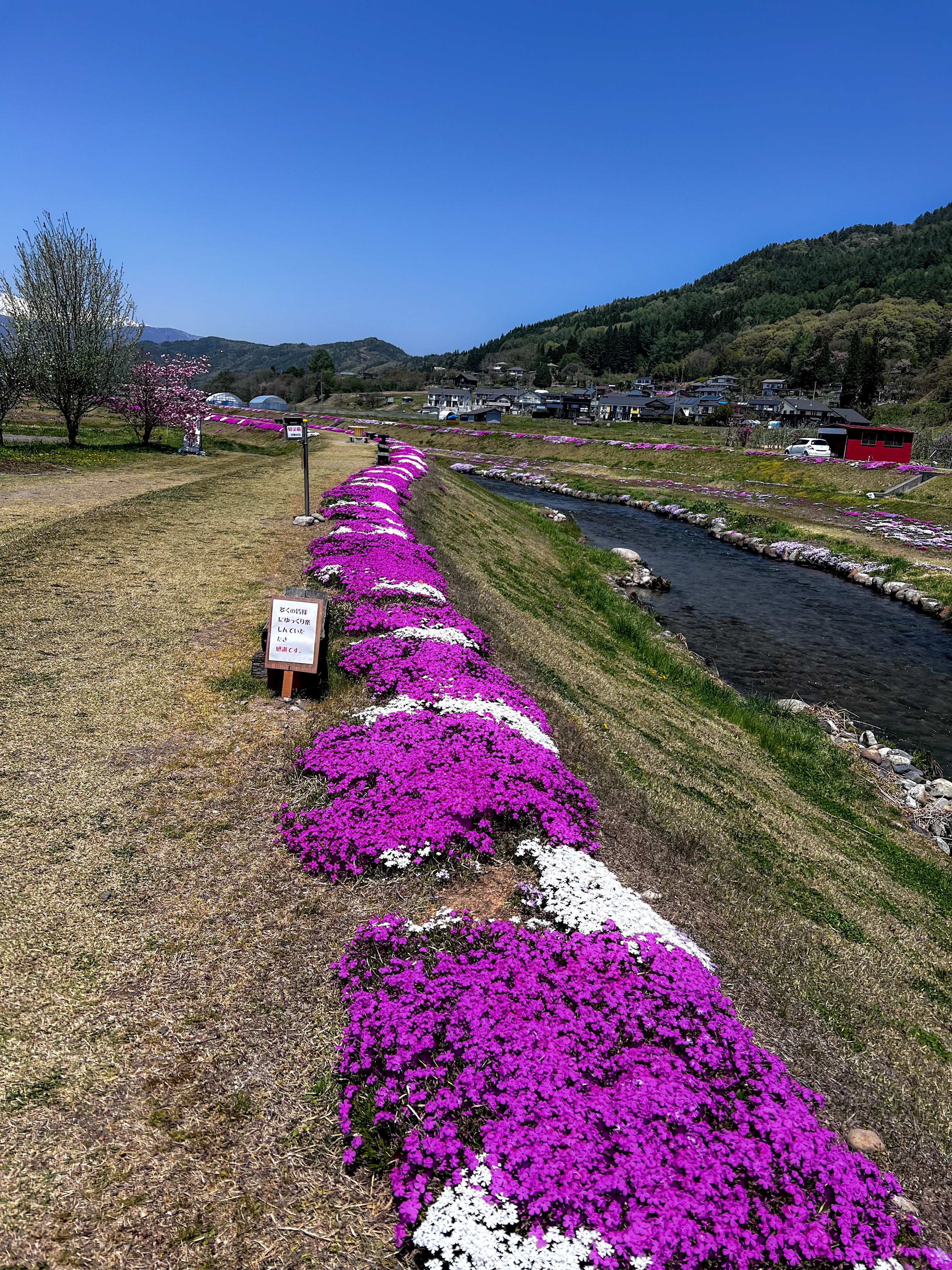 f:id:CNwriting:20250503195414j:image