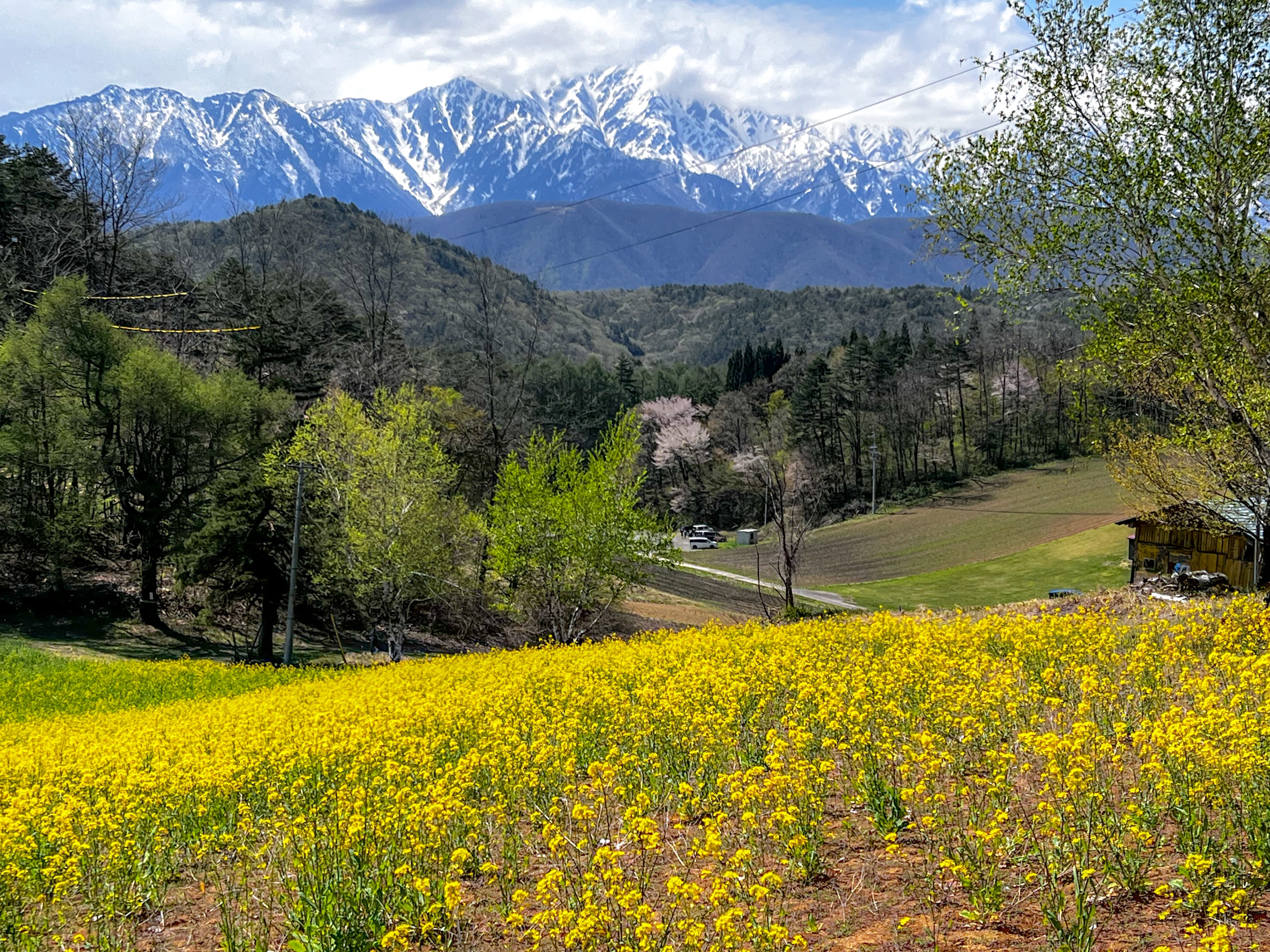 f:id:CNwriting:20250503215124j:image