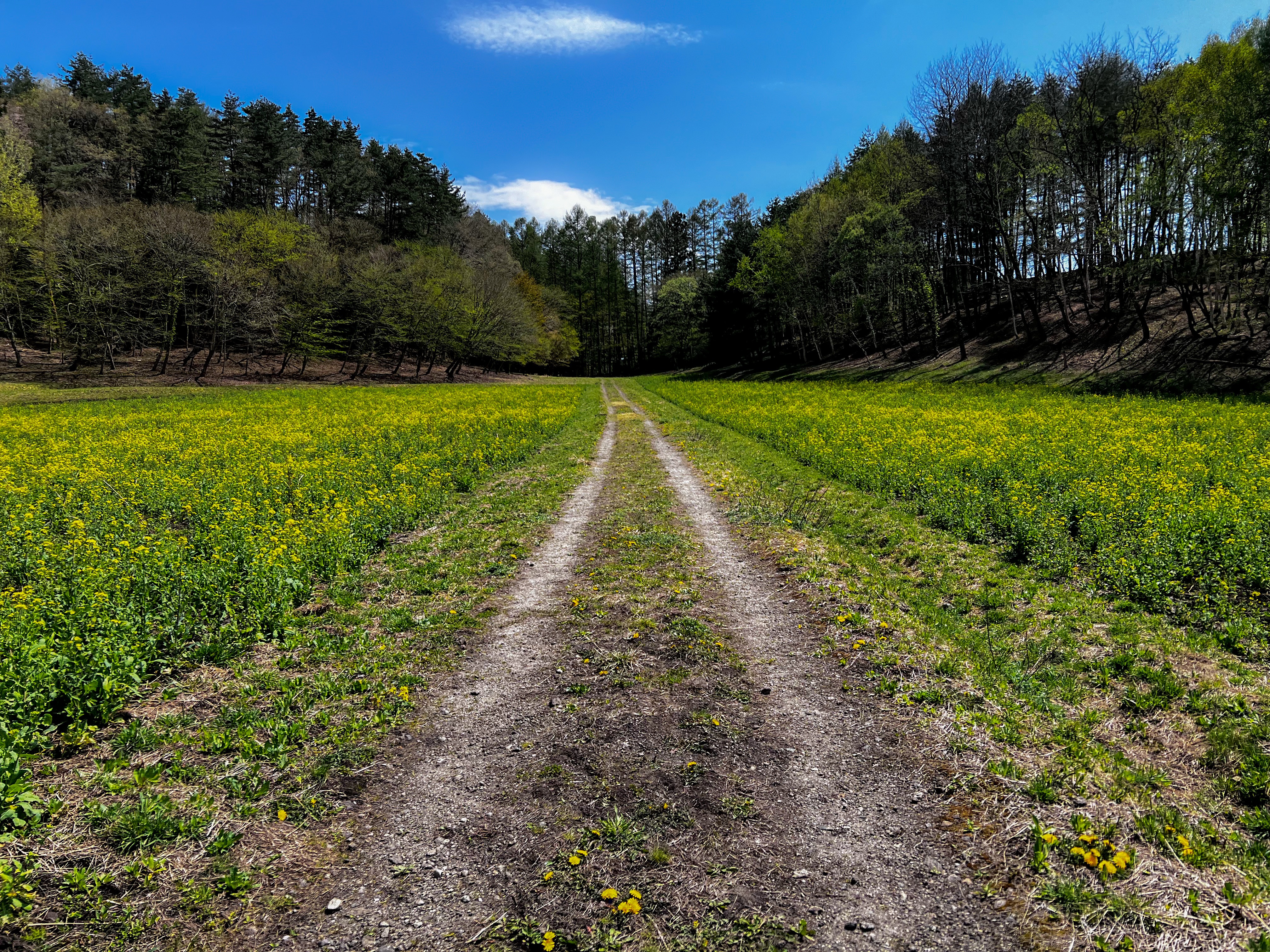 f:id:CNwriting:20250503215156j:image