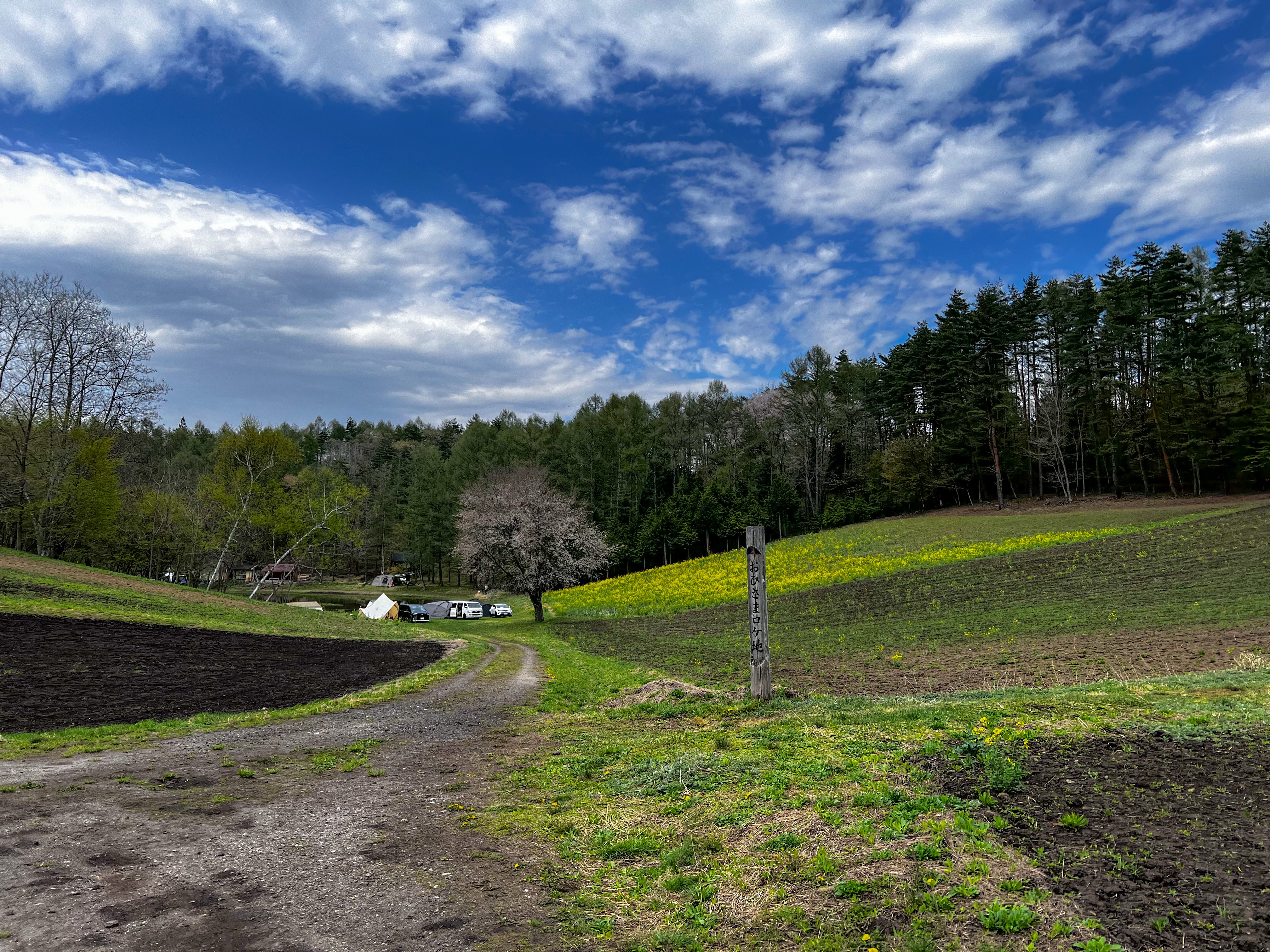 f:id:CNwriting:20250503215234j:image