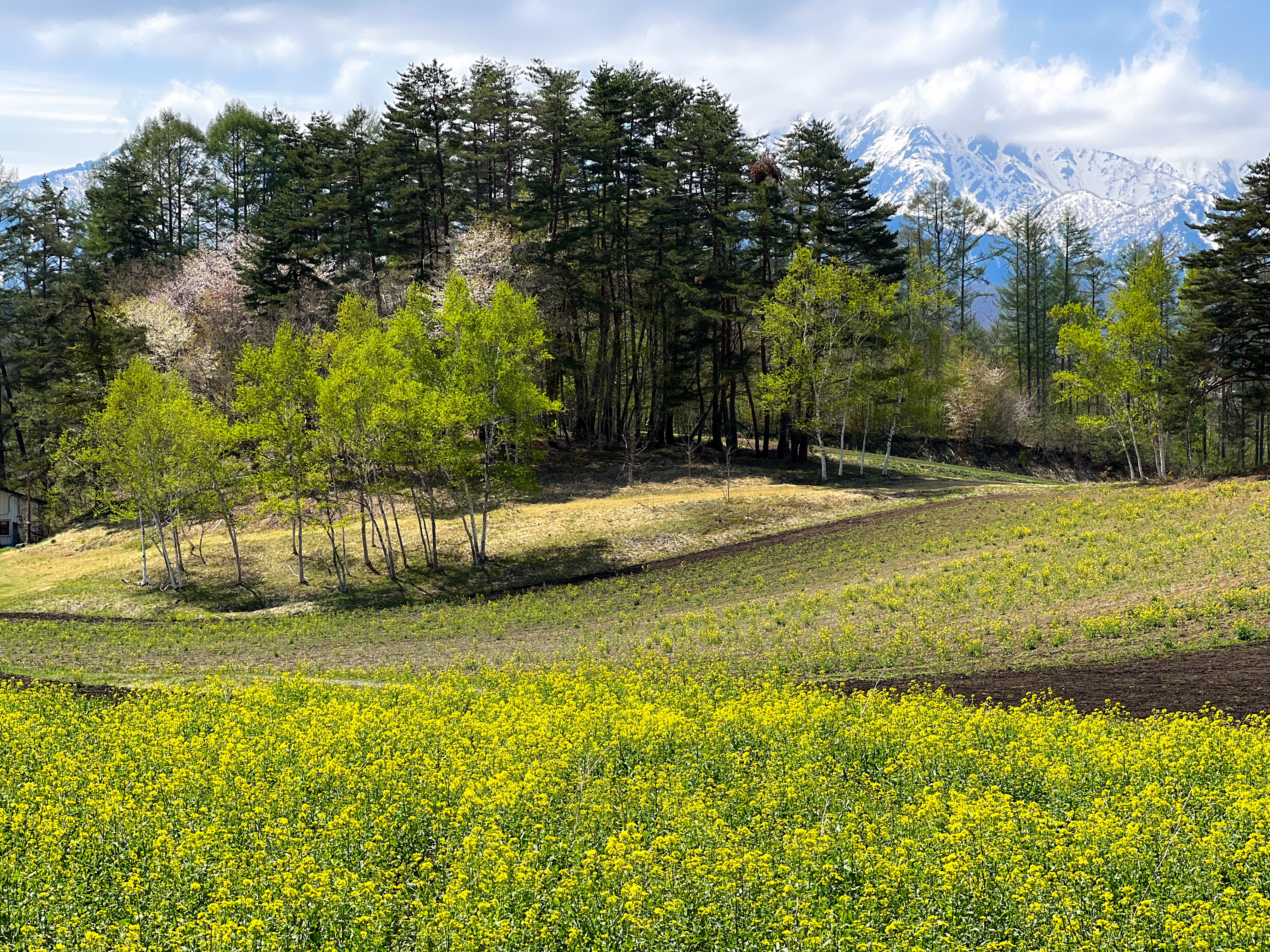 f:id:CNwriting:20250503215245j:image