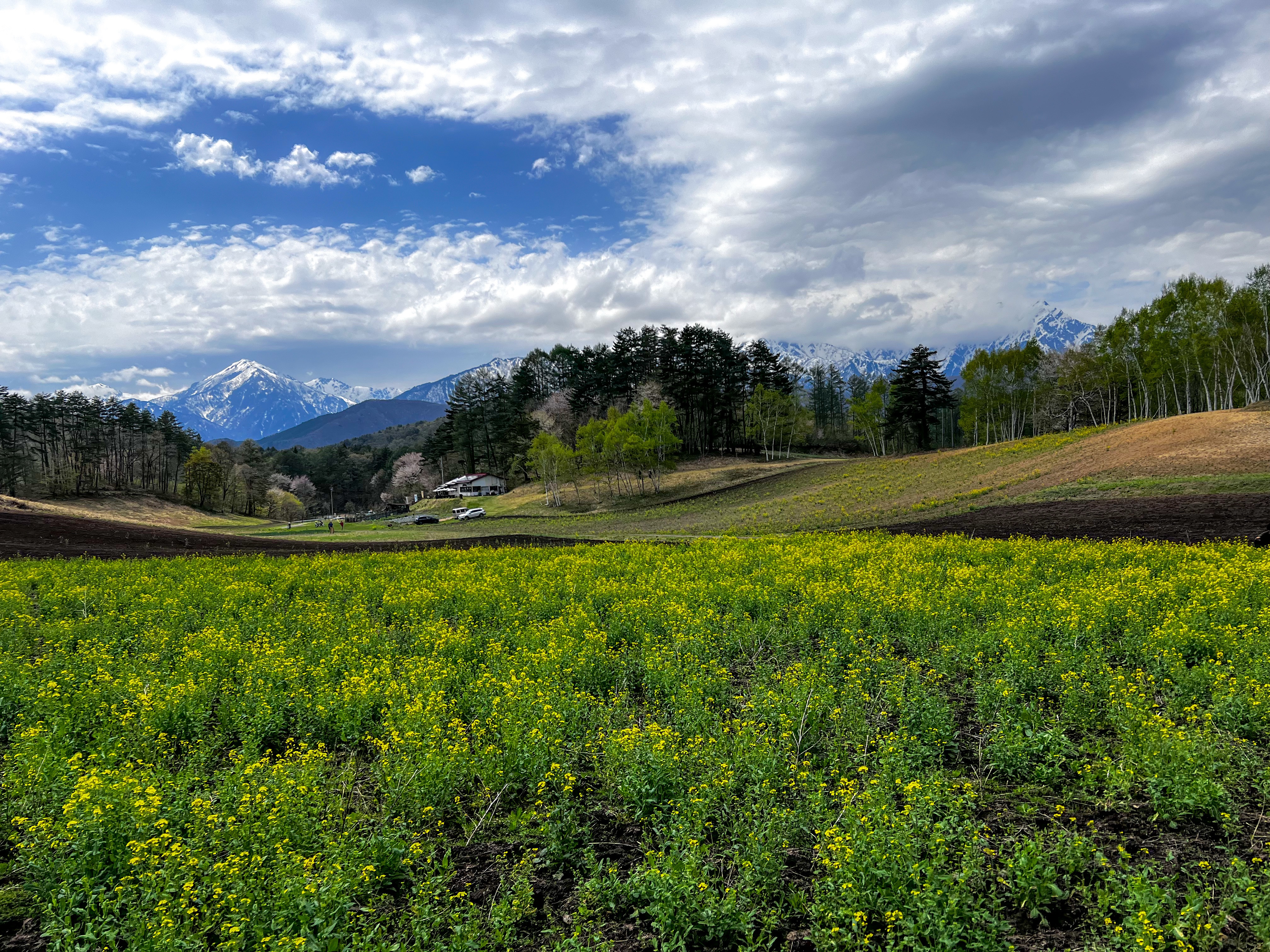 f:id:CNwriting:20250503215356j:image