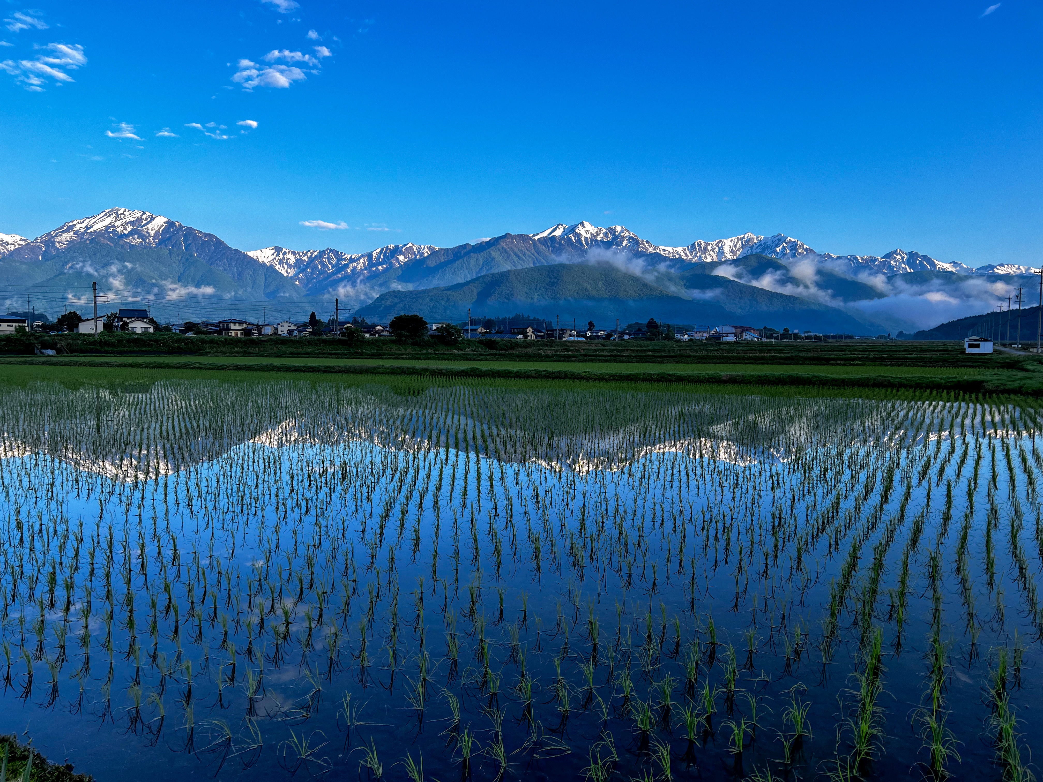 f:id:CNwriting:20250528091826j:image