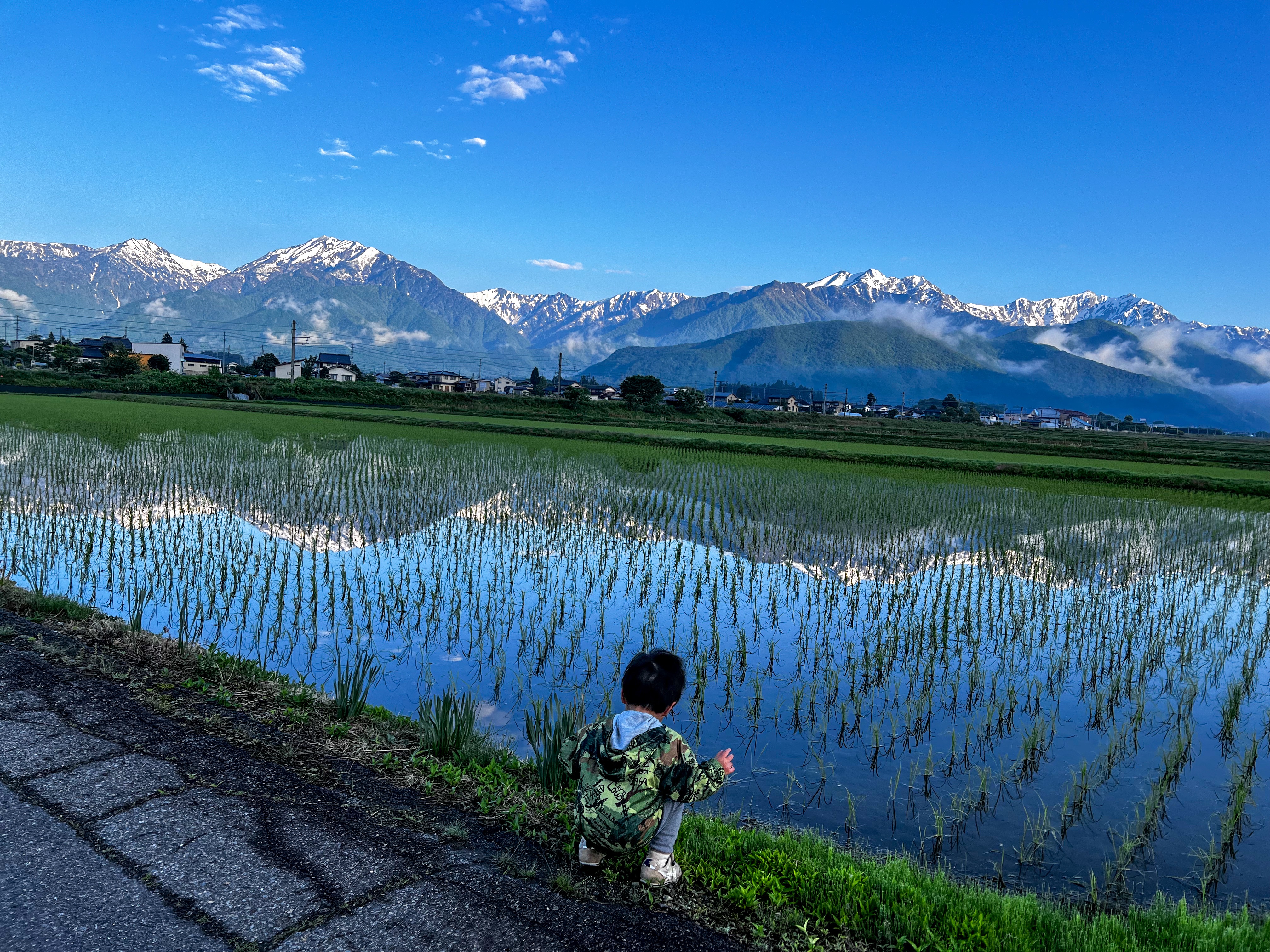 f:id:CNwriting:20250528091846j:image