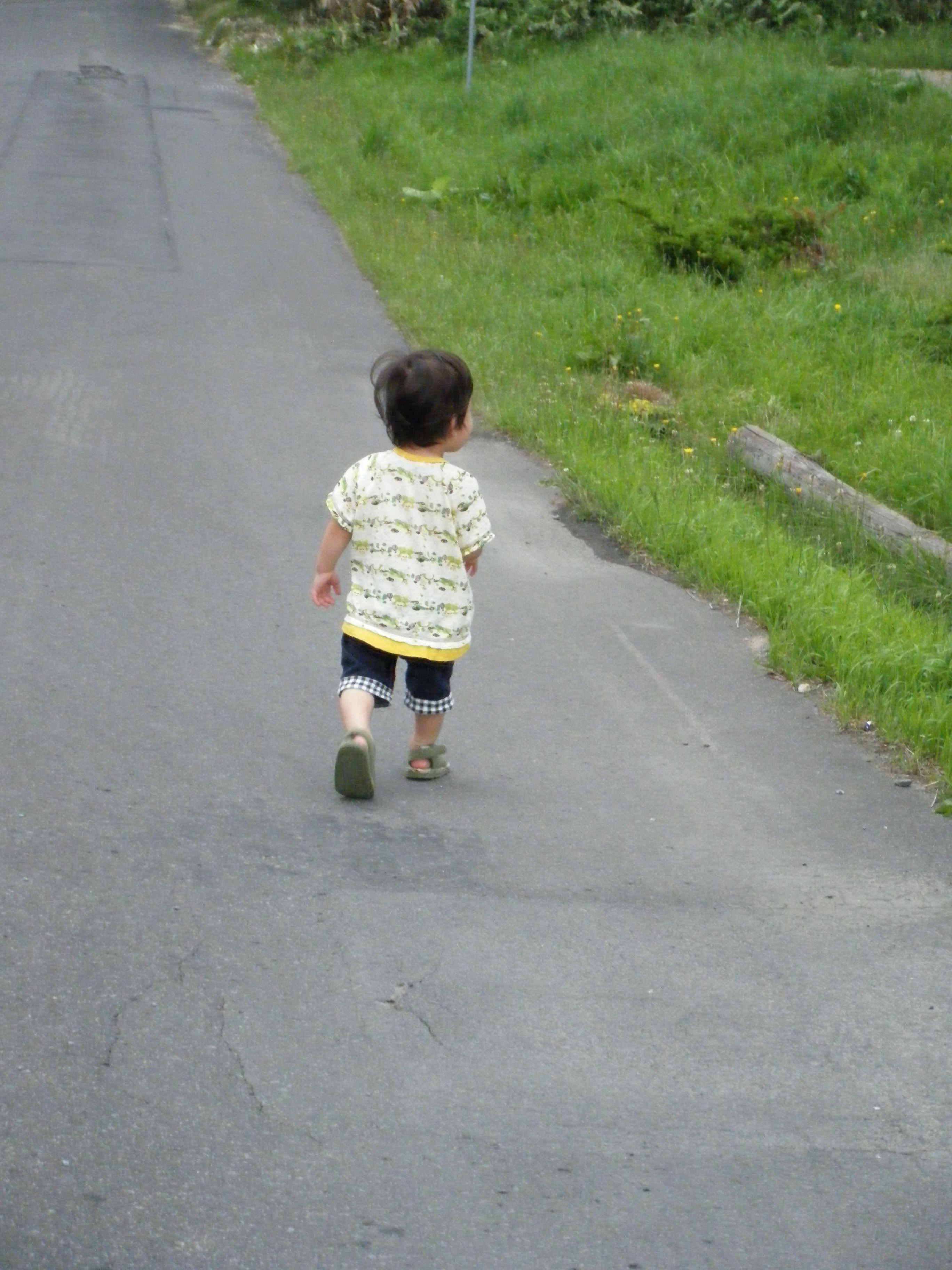 f:id:CNwriting:20250614171058j:image