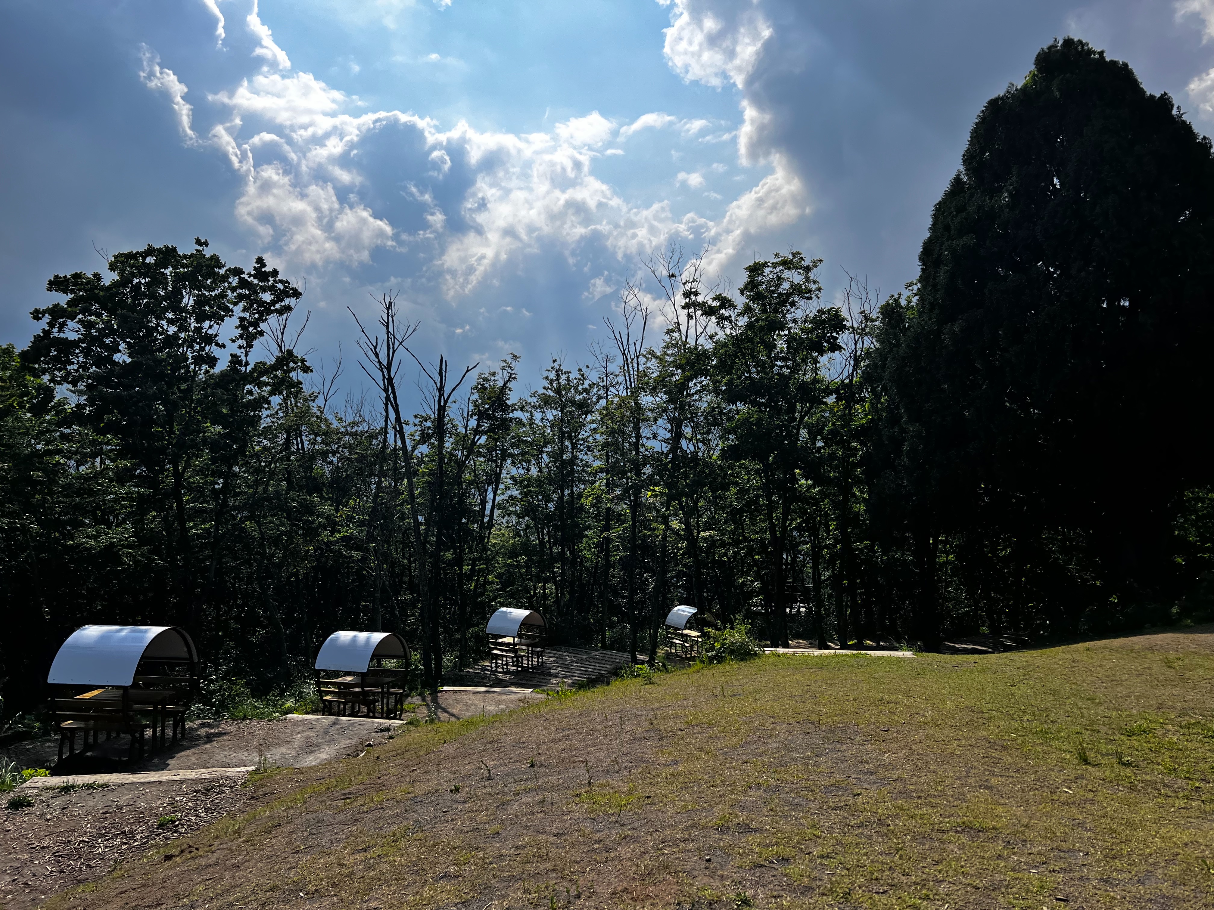 f:id:CNwriting:20250824181757j:image f:id:CNwriting:20250824181757j:image