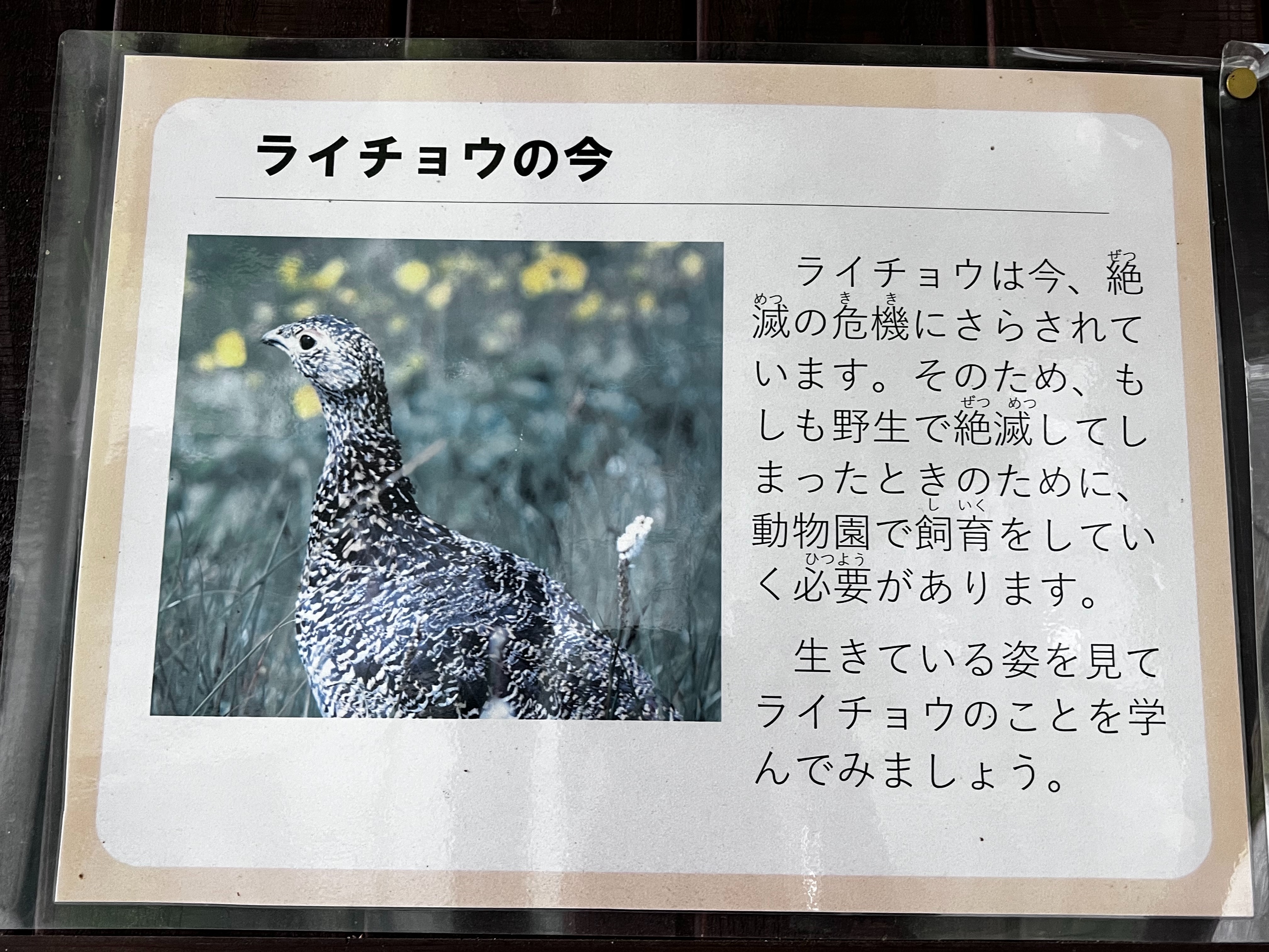 f:id:CNwriting:20250828161225j:image