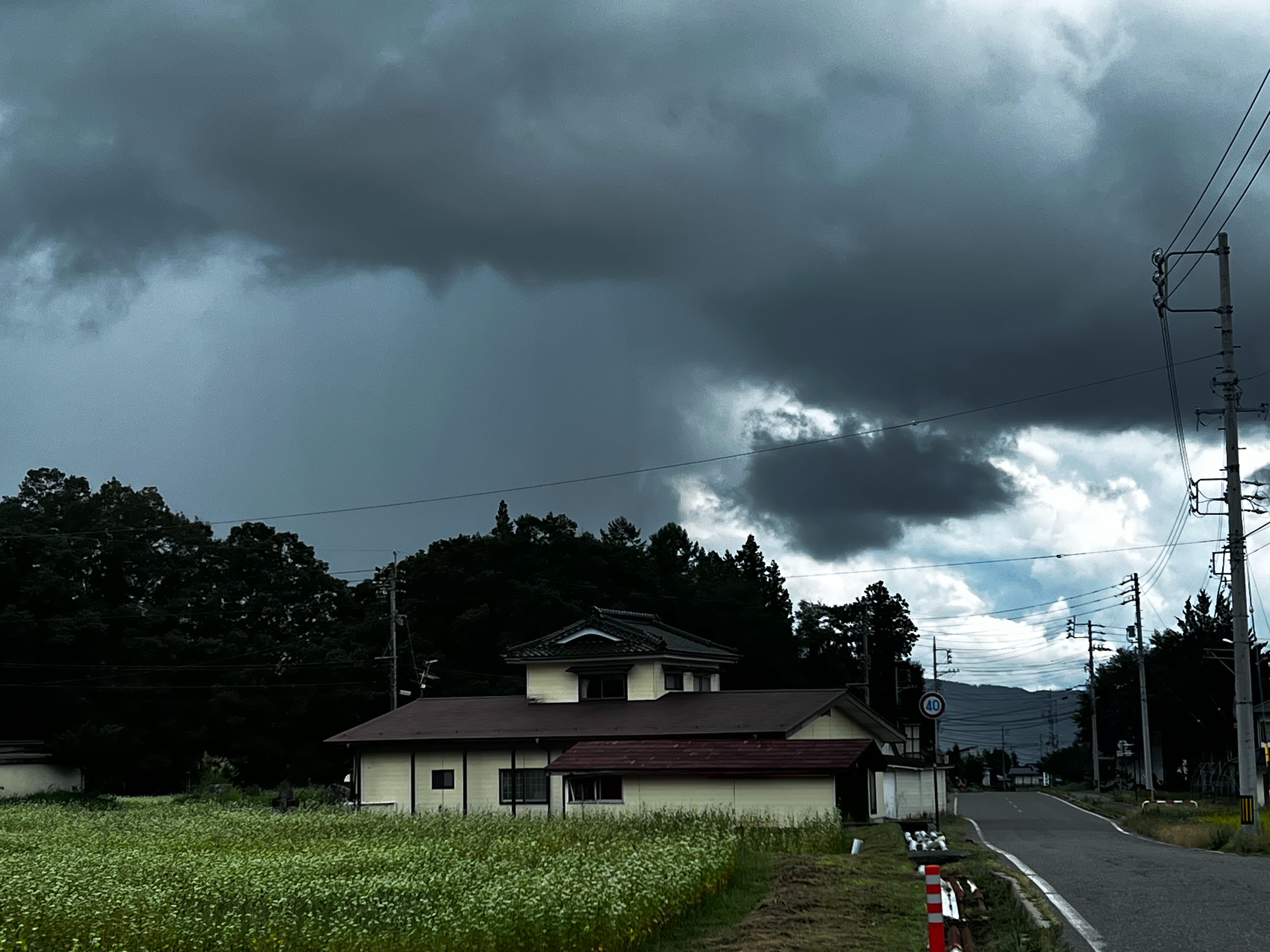 f:id:CNwriting:20250918144205j:image